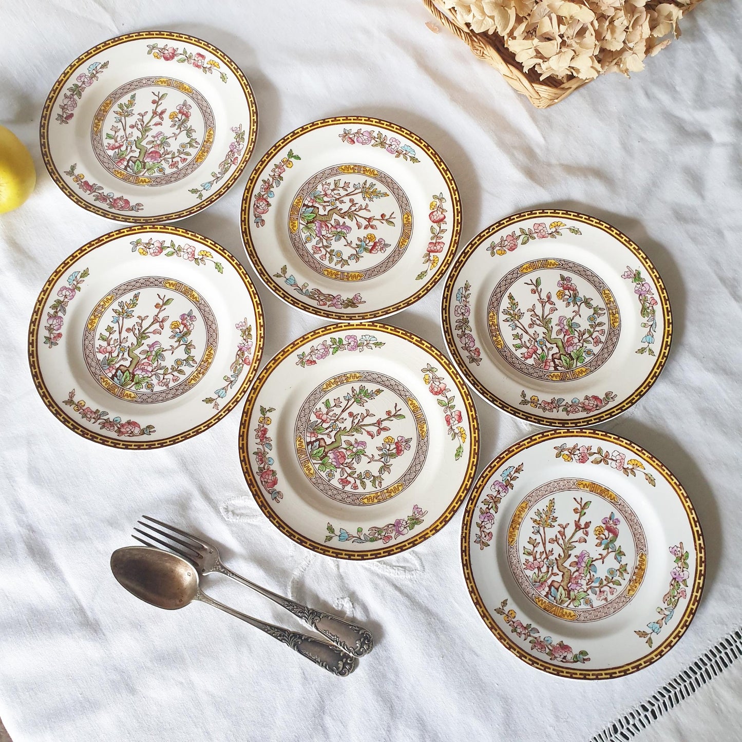SET 14 Vintage Staffordshire plates, Indian Tree pattern by Washington c1950. Hand painted. Small set of plates for full service for 2.