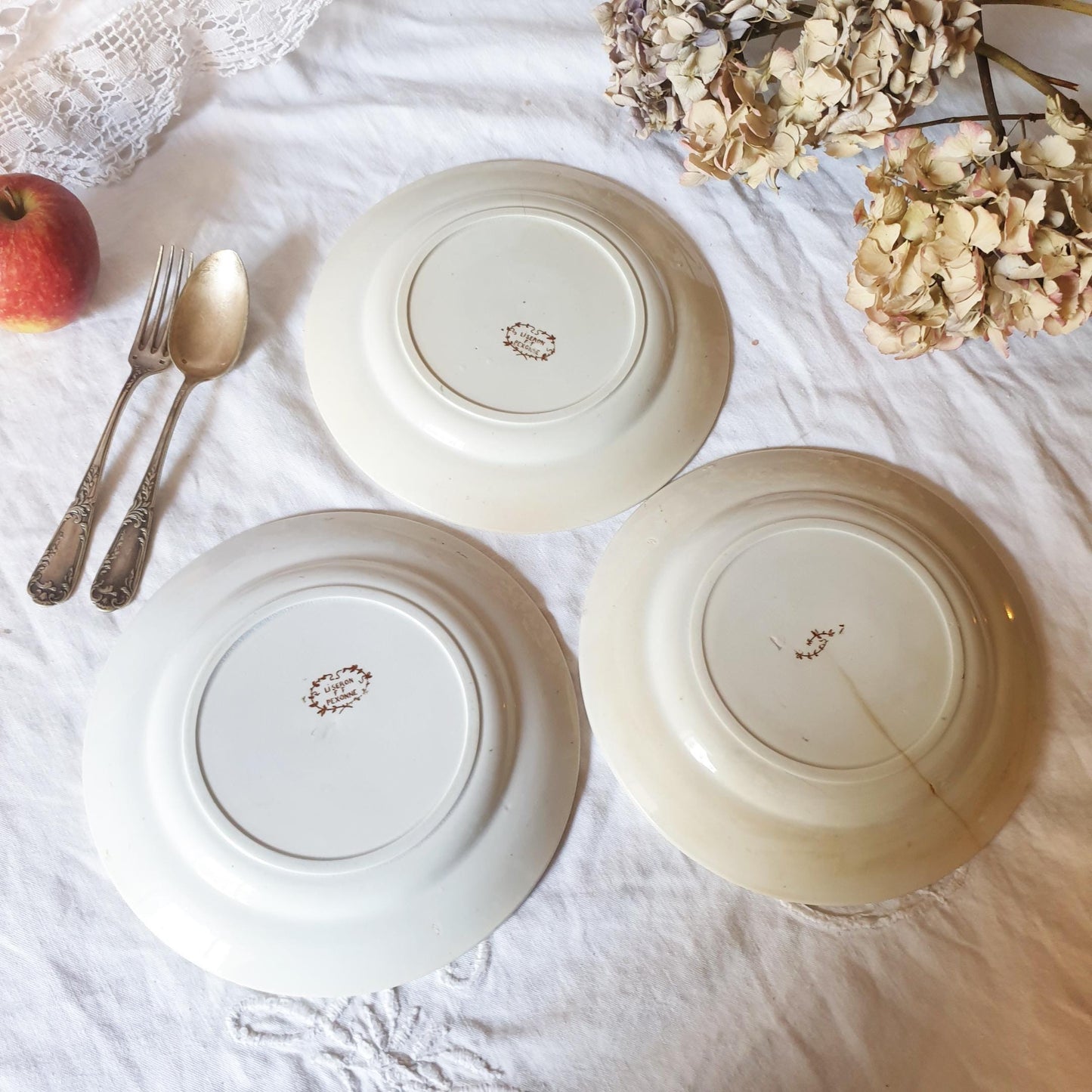 Antique Shabby French Transferware Plates: Brown Floral 'Liseron' Pexonne Set