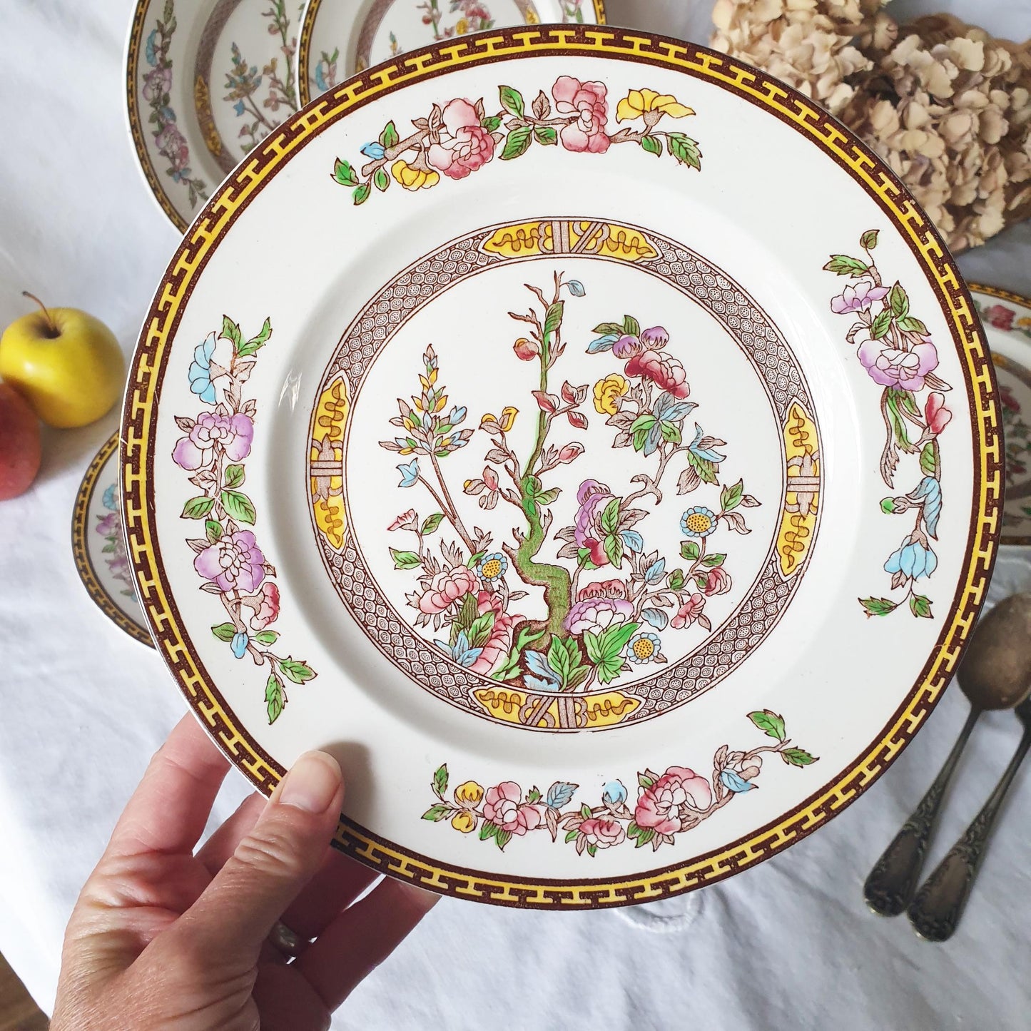 SET 14 Vintage Staffordshire plates, Indian Tree pattern by Washington c1950. Hand painted. Small set of plates for full service for 2.