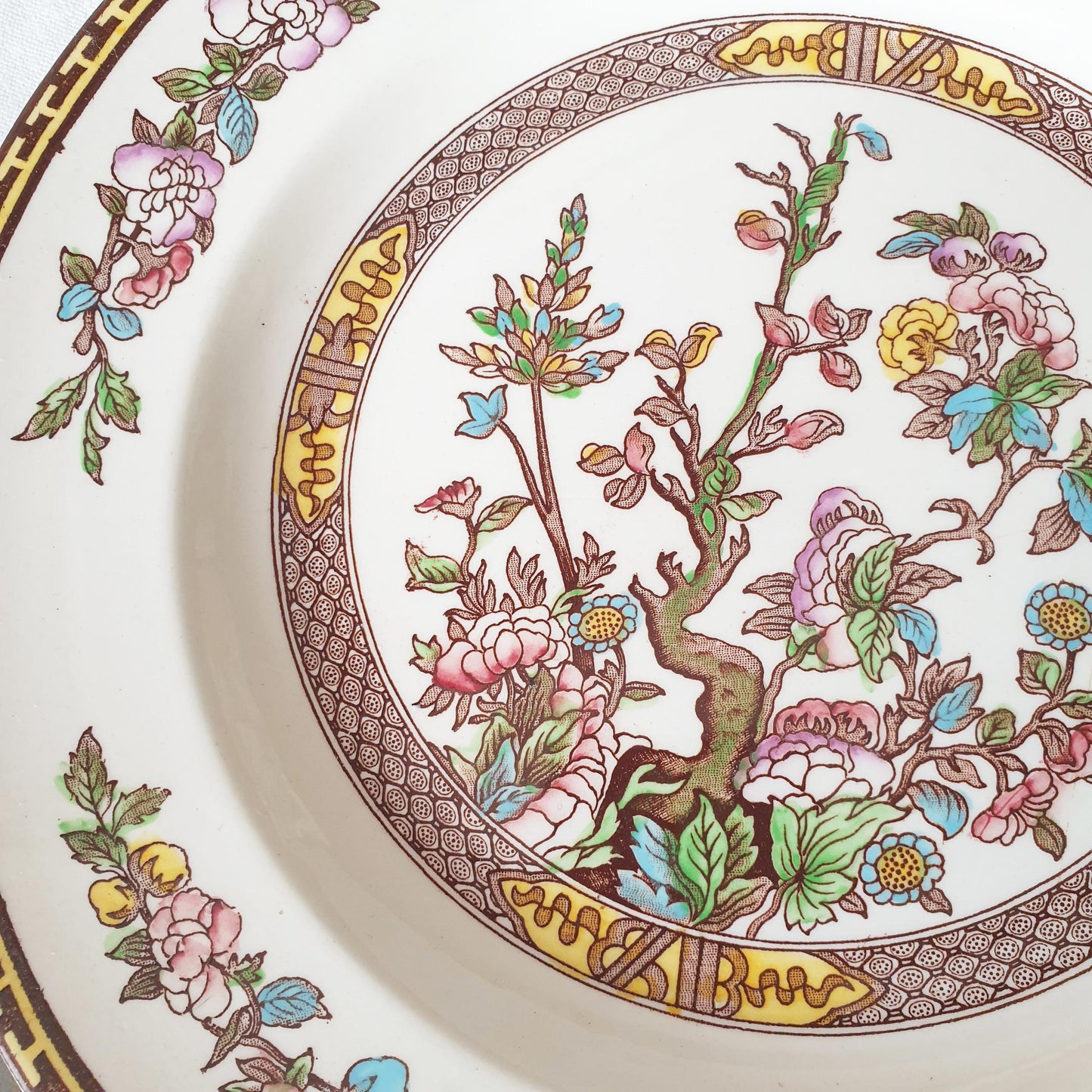 SET 14 Vintage Staffordshire plates, Indian Tree pattern by Washington c1950. Hand painted. Small set of plates for full service for 2.