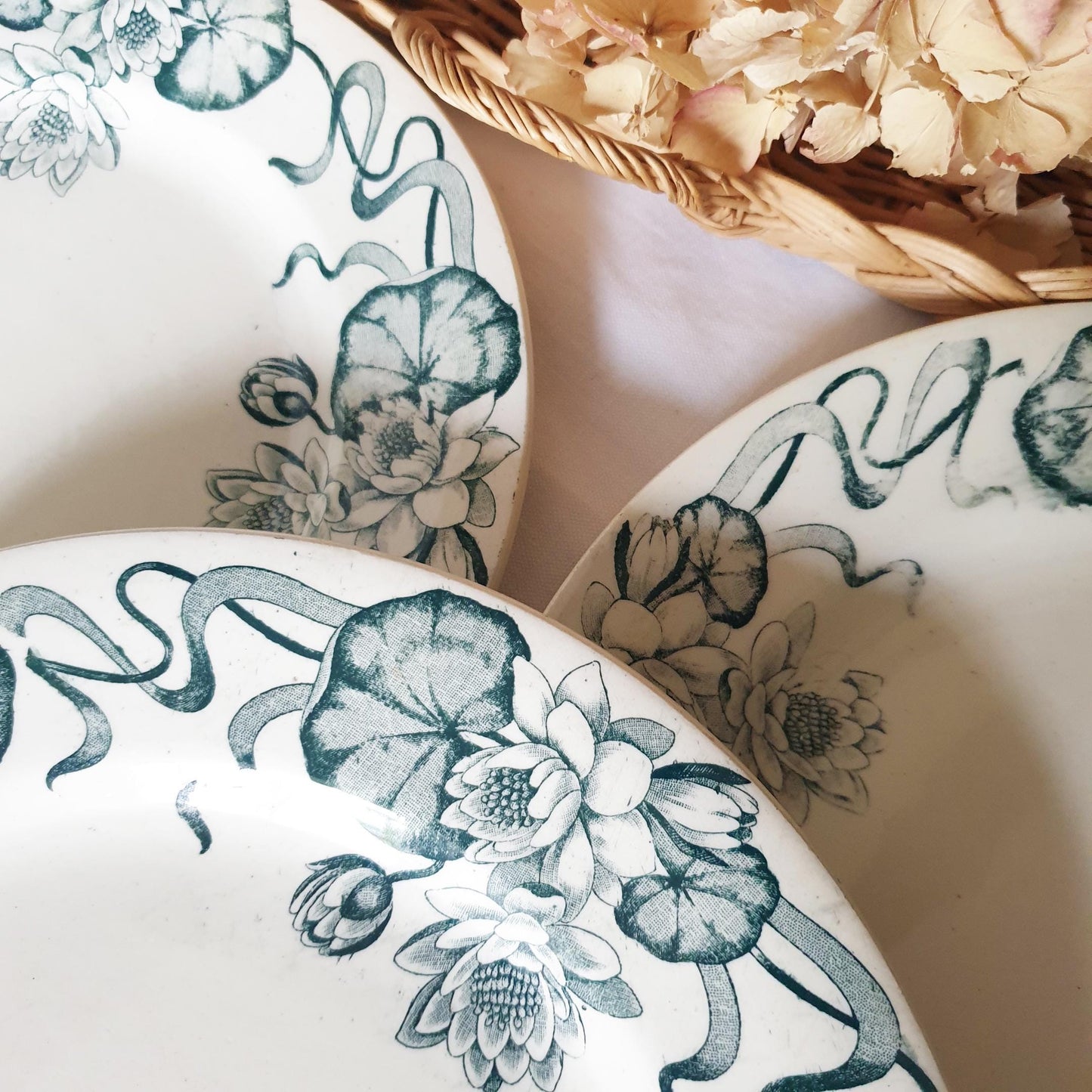 Antique French Dinner Plates Set: Art Nouveau Waterlilies Transferware by Salins