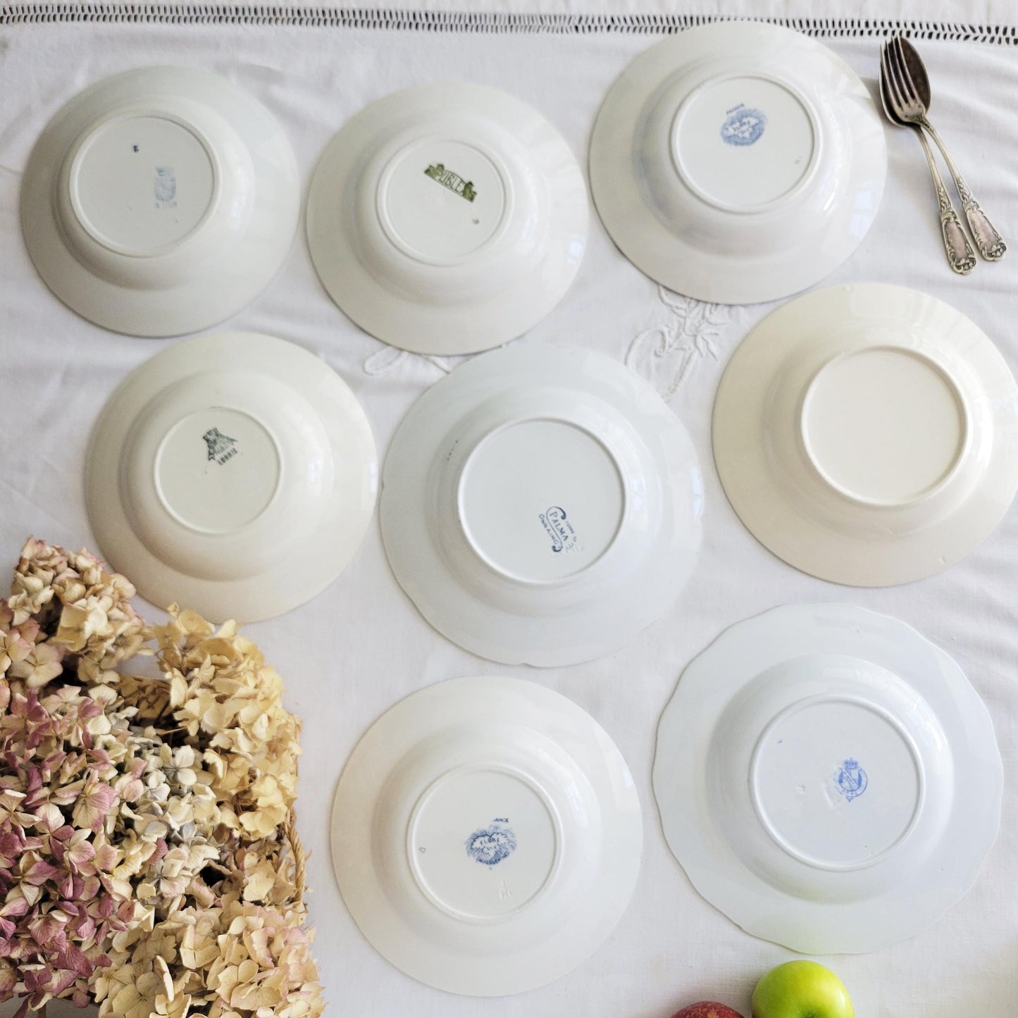 Antique French Mismatched Ironstone Shabby Wall Plates - Set of 8 Blue Floral Transferware