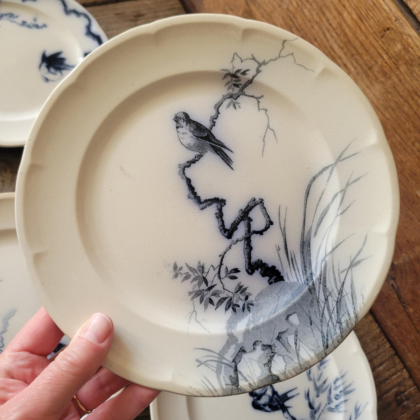 French antique 10 place ironstone dinner service, bird & floral transferware 'Japonais' c1880 Longwy, France