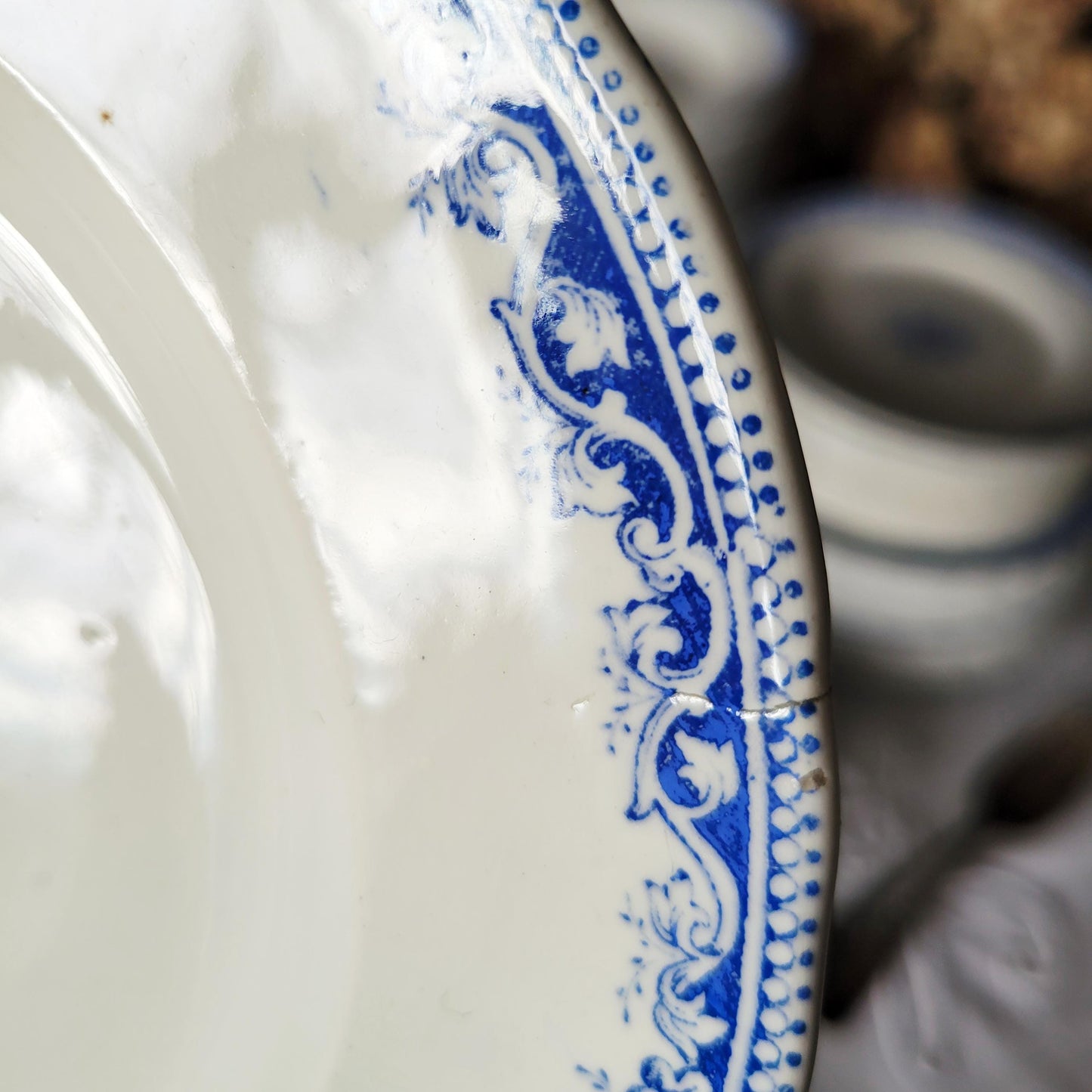 Antique French Ironstone Asparagus Plates: Jules Veillard Blue Transferware, Set of 12