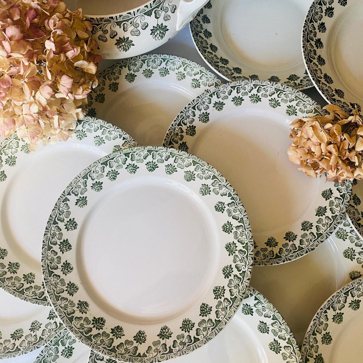 Antique French 10-Place Green Clover Dinner Set: Badonviller Transferware, 27 pc Service