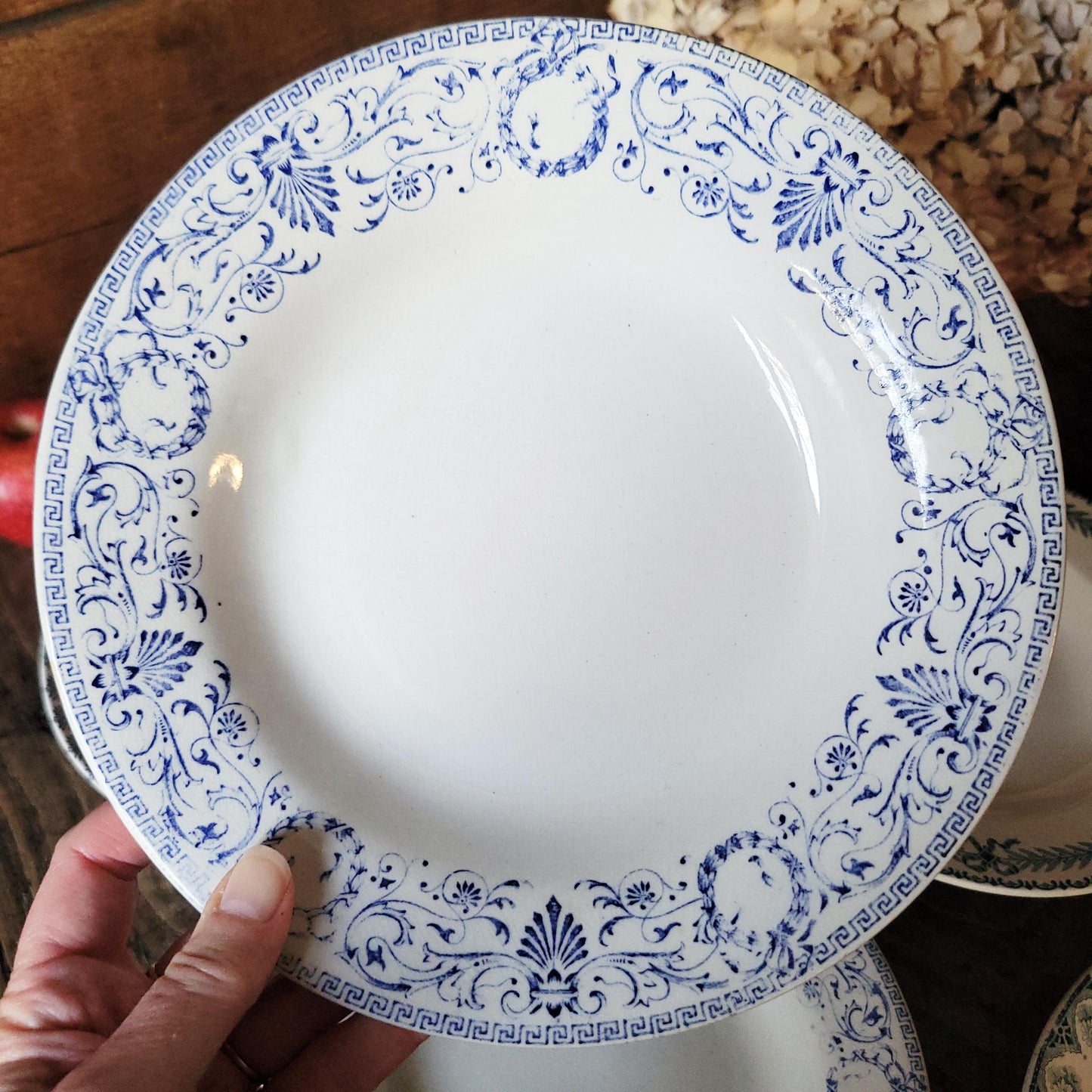 Mismatched Antique French Ironstone Soup Plates – Blue Transferware, Birds & Florals, Set of 6
