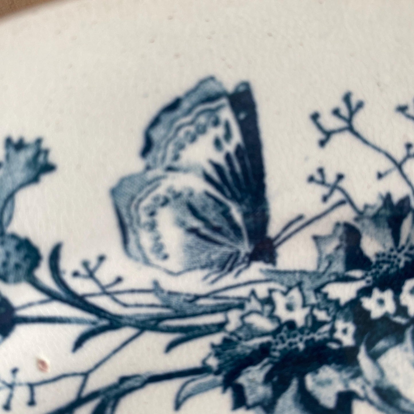 Antique Butterflies & Floral Dinner Service: French Blue Transferware, 10-Place Setting
