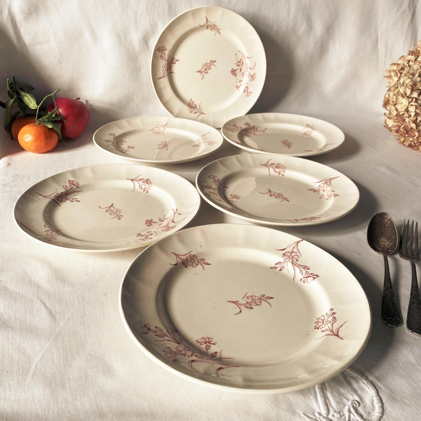 Set 6 Antique Longwy France Dinner plates, Bluets Pattern, rose Pink Transferware