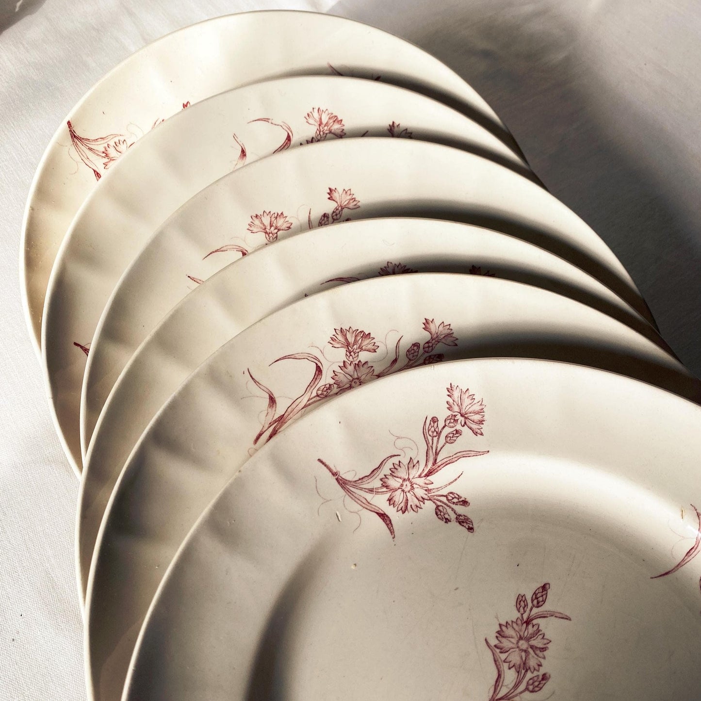 Set 6 Antique Longwy France Dinner plates, Bluets Pattern, rose Pink Transferware
