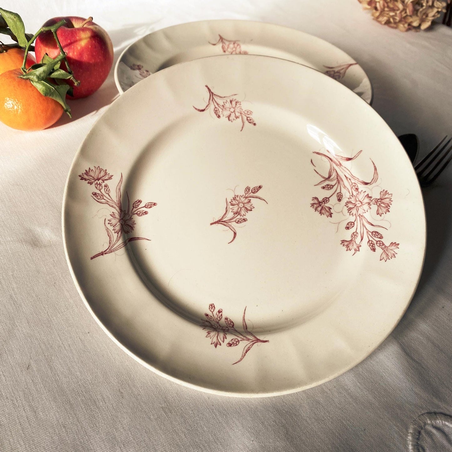 Set 6 Antique Longwy France Dinner plates, Bluets Pattern, rose Pink Transferware