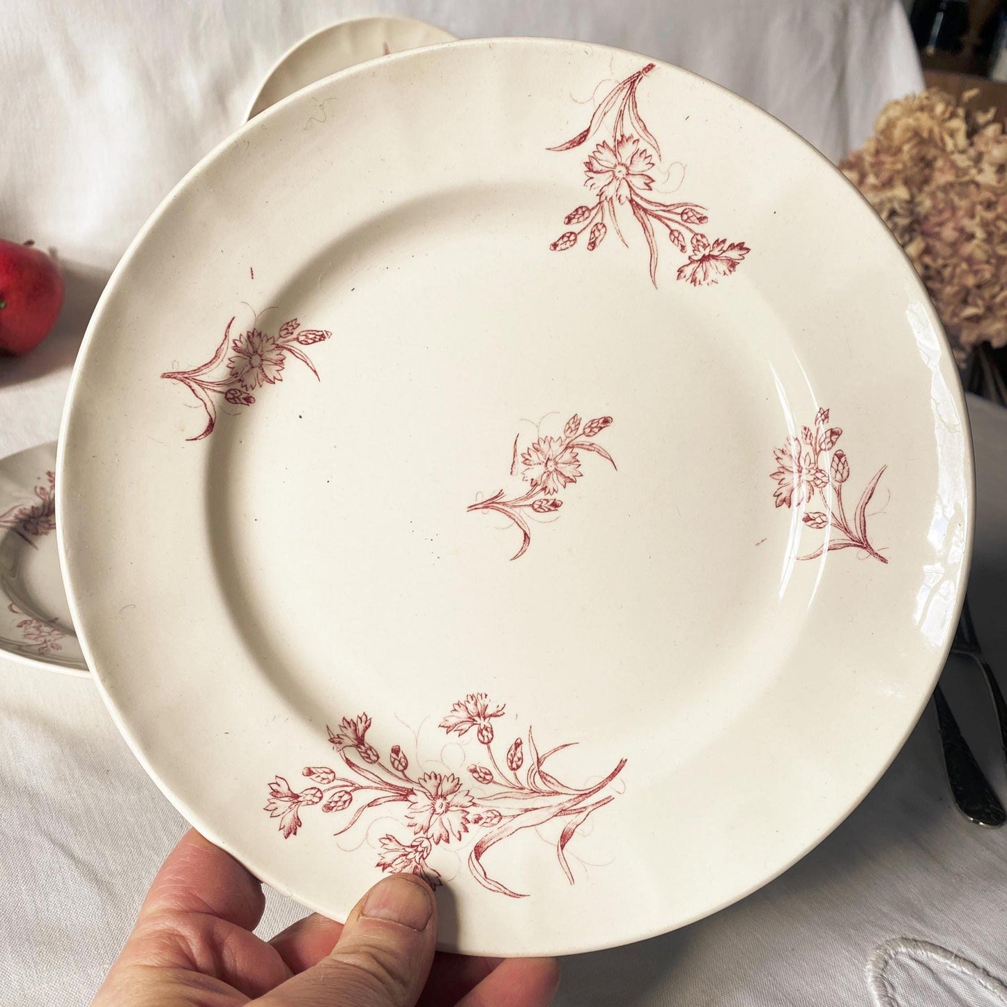 Set 6 Antique Longwy France Dinner plates, Bluets Pattern, rose Pink Transferware