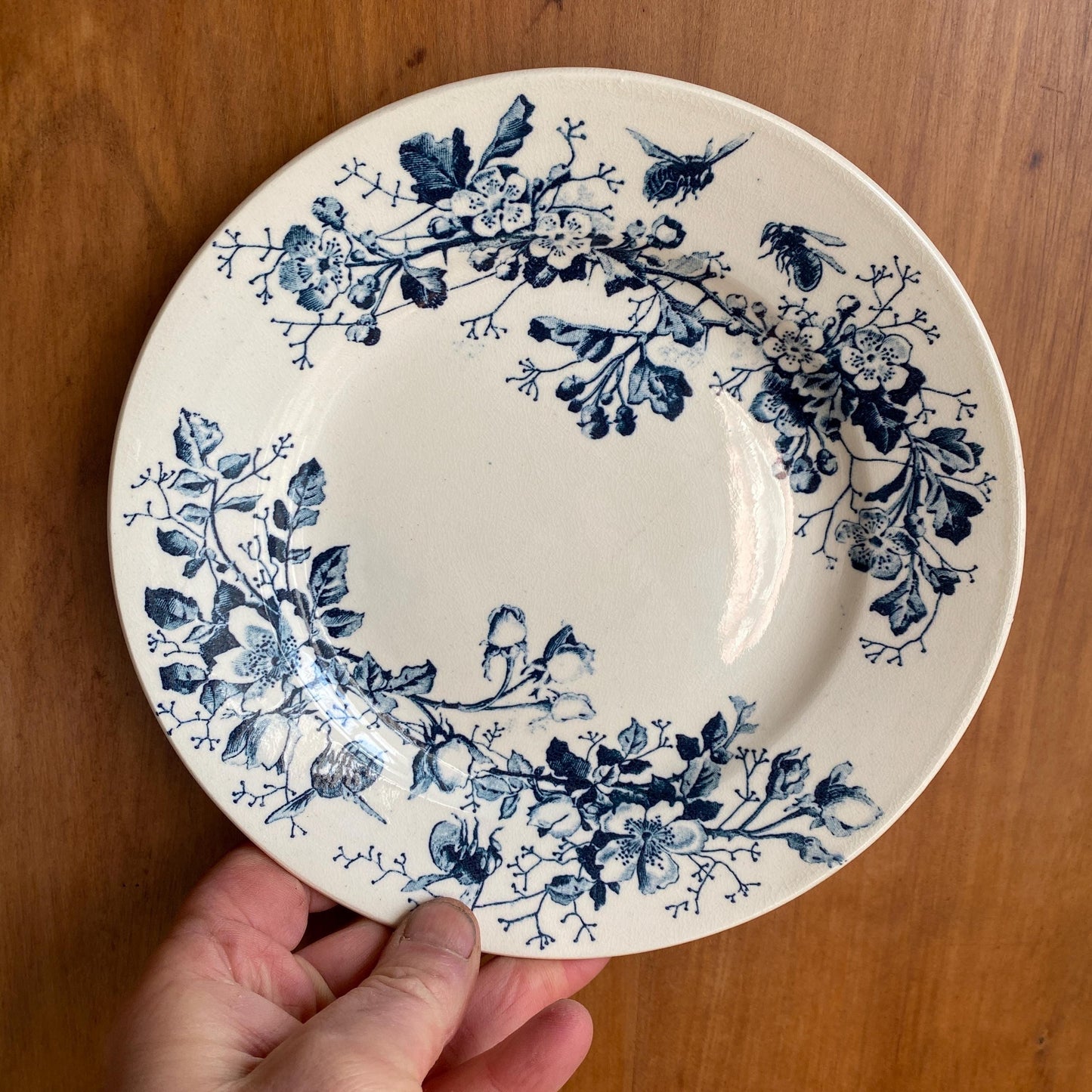 Antique Butterflies & Bees Side/dessert Plates (Set of 3): French teal blue Transferware, c1890