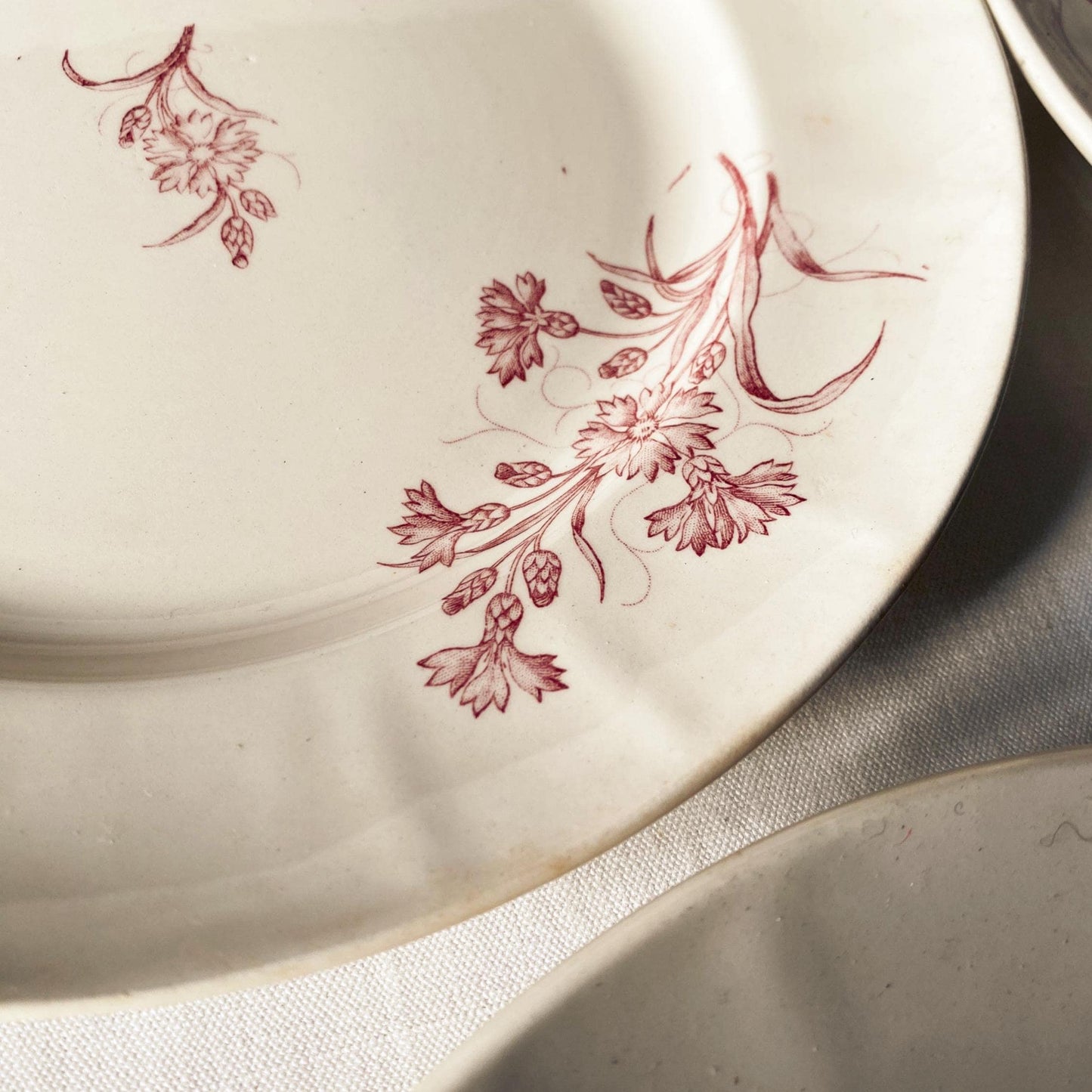 Set 6 Antique Longwy France Dinner plates, Bluets Pattern, rose Pink Transferware