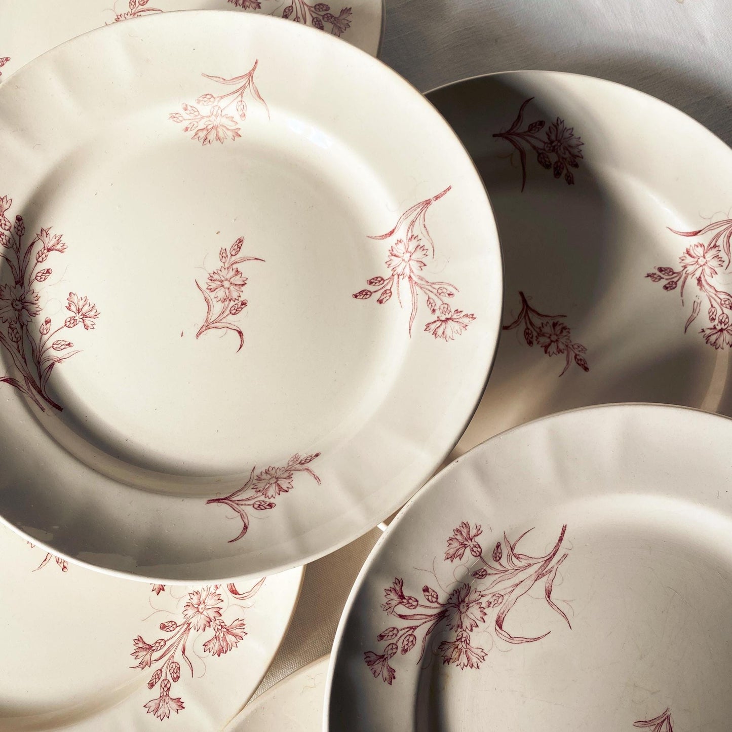 Set 6 Antique Longwy France Dinner plates, Bluets Pattern, rose Pink Transferware