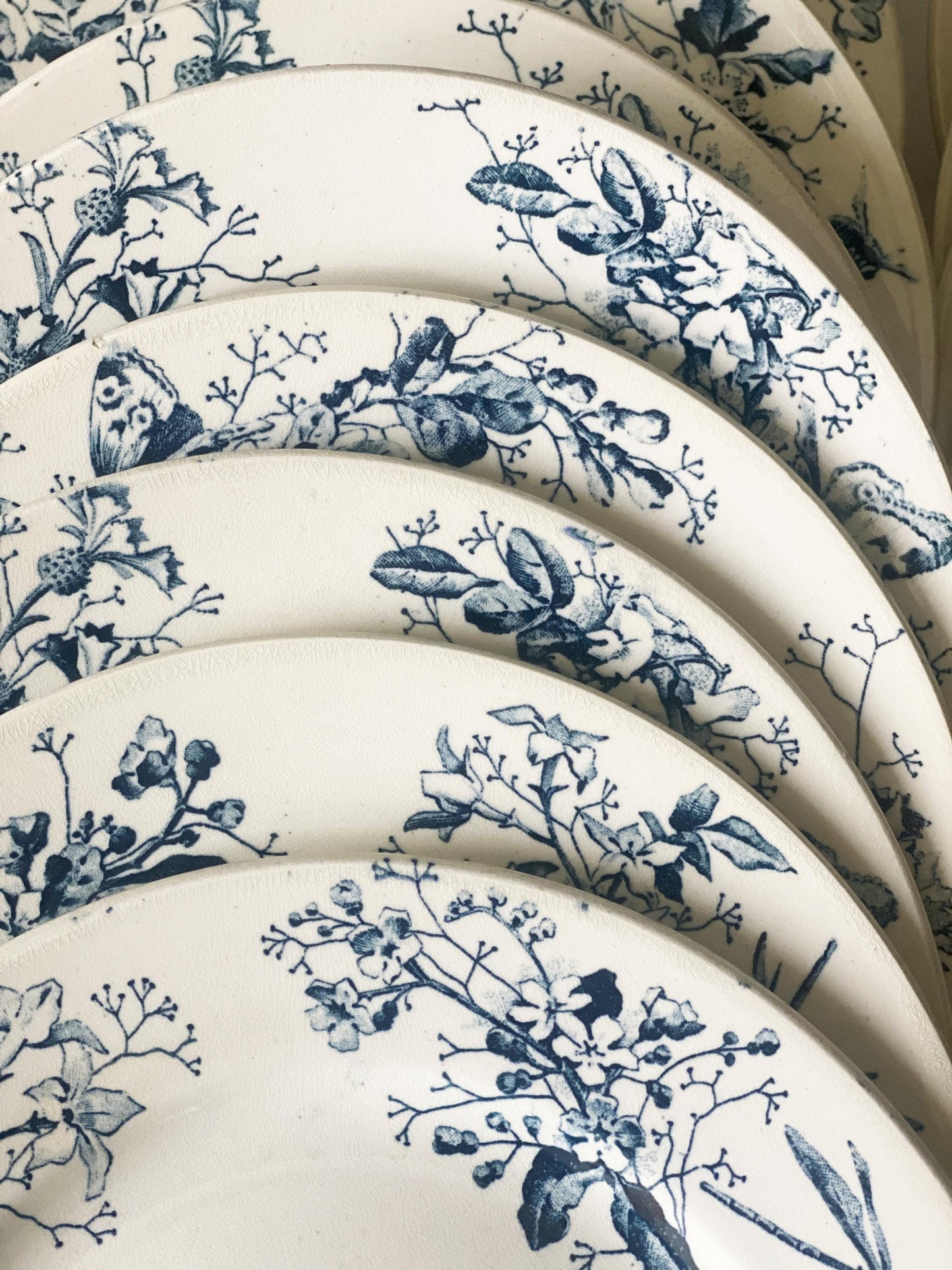Antique Butterflies & Floral Dinner Service: French Blue Transferware, 10-Place Setting