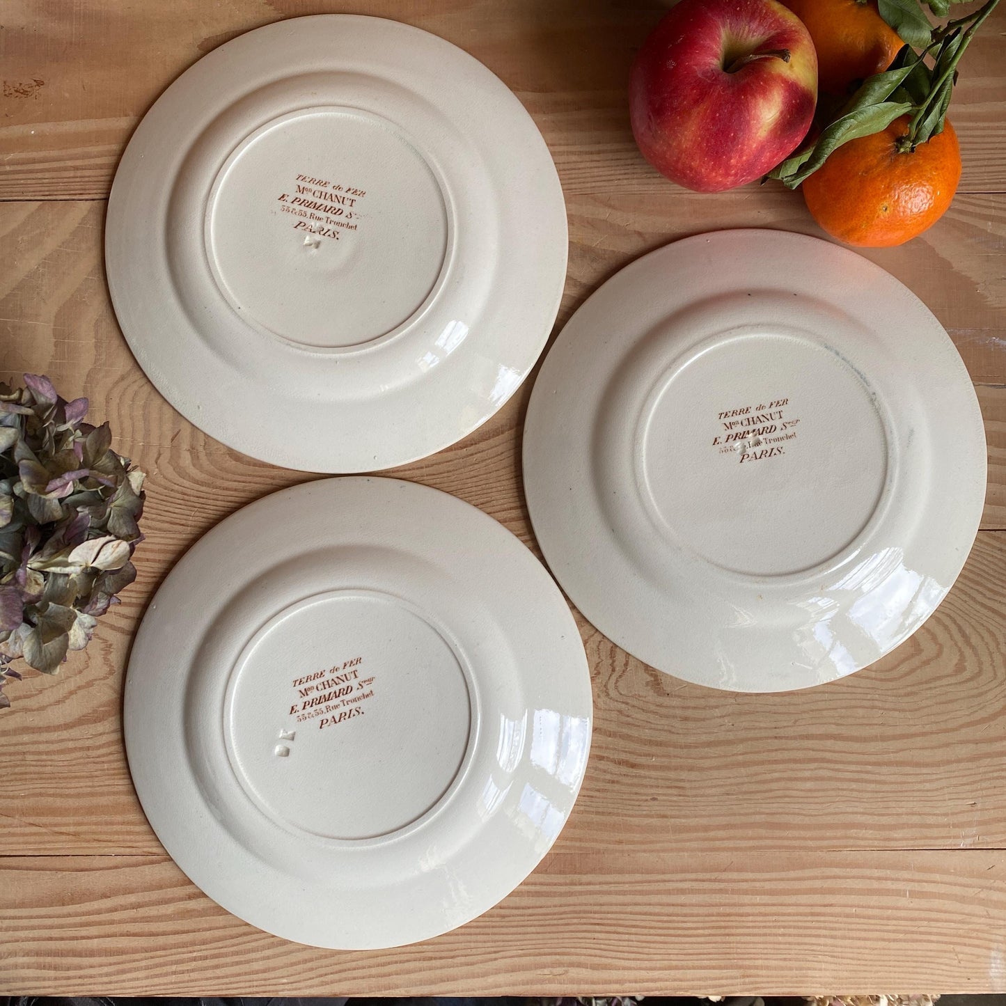 Antique Butterflies & Bees Side/dessert Plates (Set of 3): French teal blue Transferware, c1890