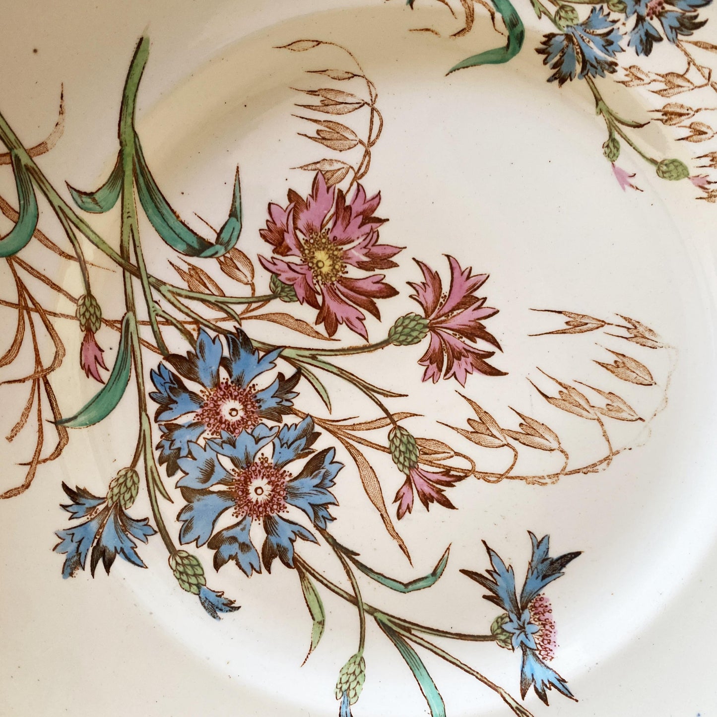 French Antique 10 to 20-Place Dinner Service, 45pc polychrome Floral Design, Salins 'Bluets' c1900