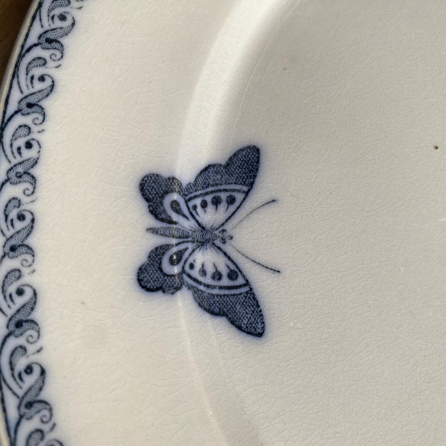 Set of 5 French antique dinner plates, flowers + butterflies, Aesthetic Movement 'Wallace' by U&C Sarreguemines, France 1900