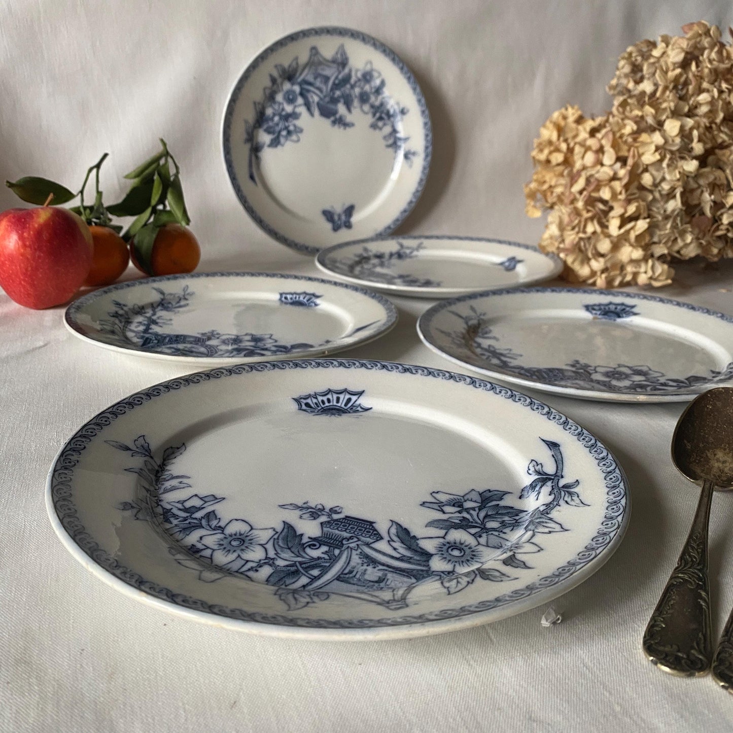 Set of 5 French antique dinner plates, flowers + butterflies, Aesthetic Movement 'Wallace' by U&C Sarreguemines, France 1900