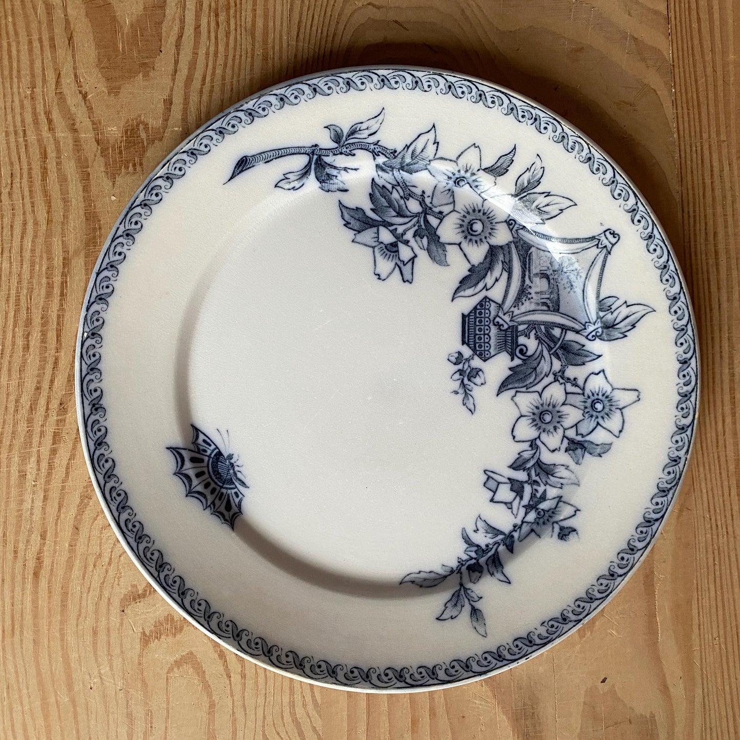 Set of 5 French antique dinner plates, flowers + butterflies, Aesthetic Movement 'Wallace' by U&C Sarreguemines, France 1900