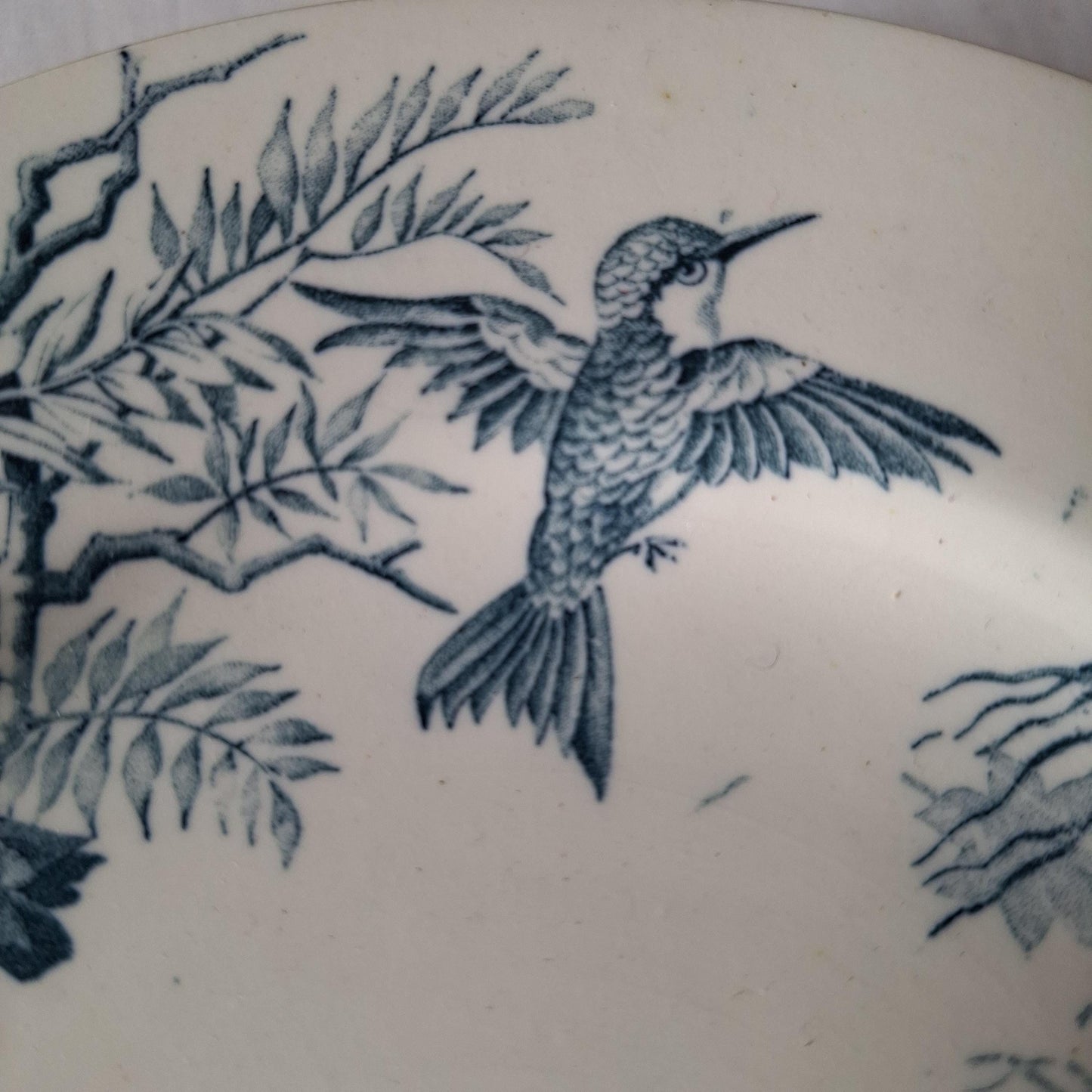 Antique French Blue Transferware Colibri Birds Dessert / Entree Plates (Set of 8), Luneville c1890