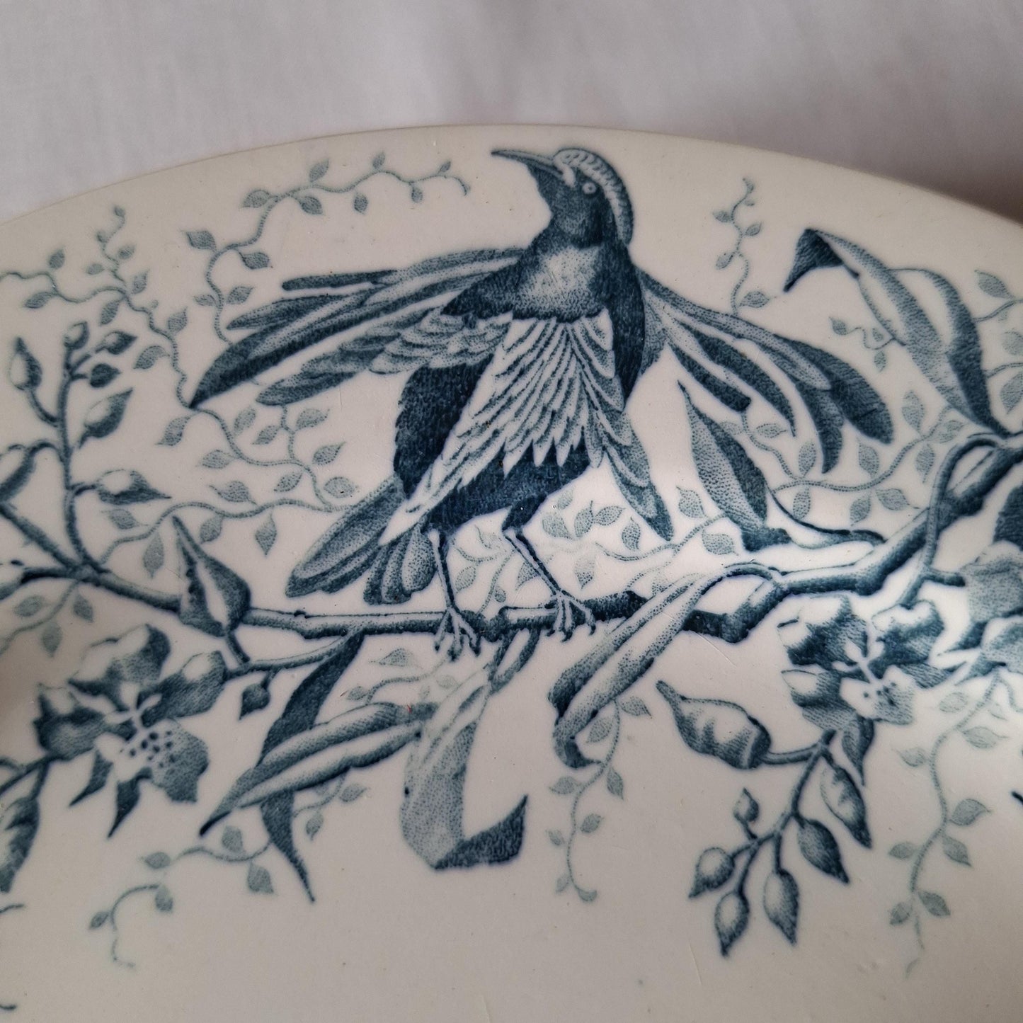 Antique French Blue Transferware Colibri Birds Dessert / Entree Plates (Set of 8), Luneville c1890