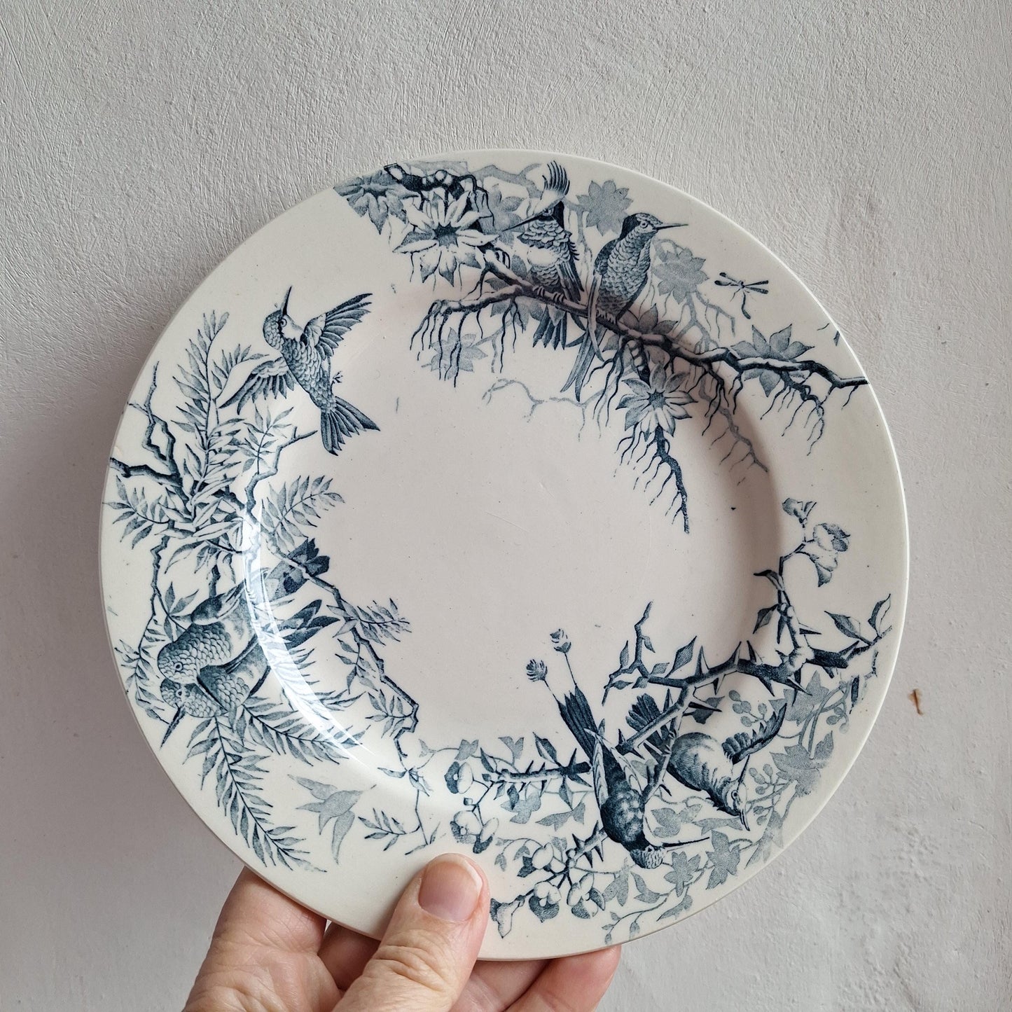 Antique French Blue Transferware Colibri Birds Dessert / Entree Plates (Set of 8), Luneville c1890