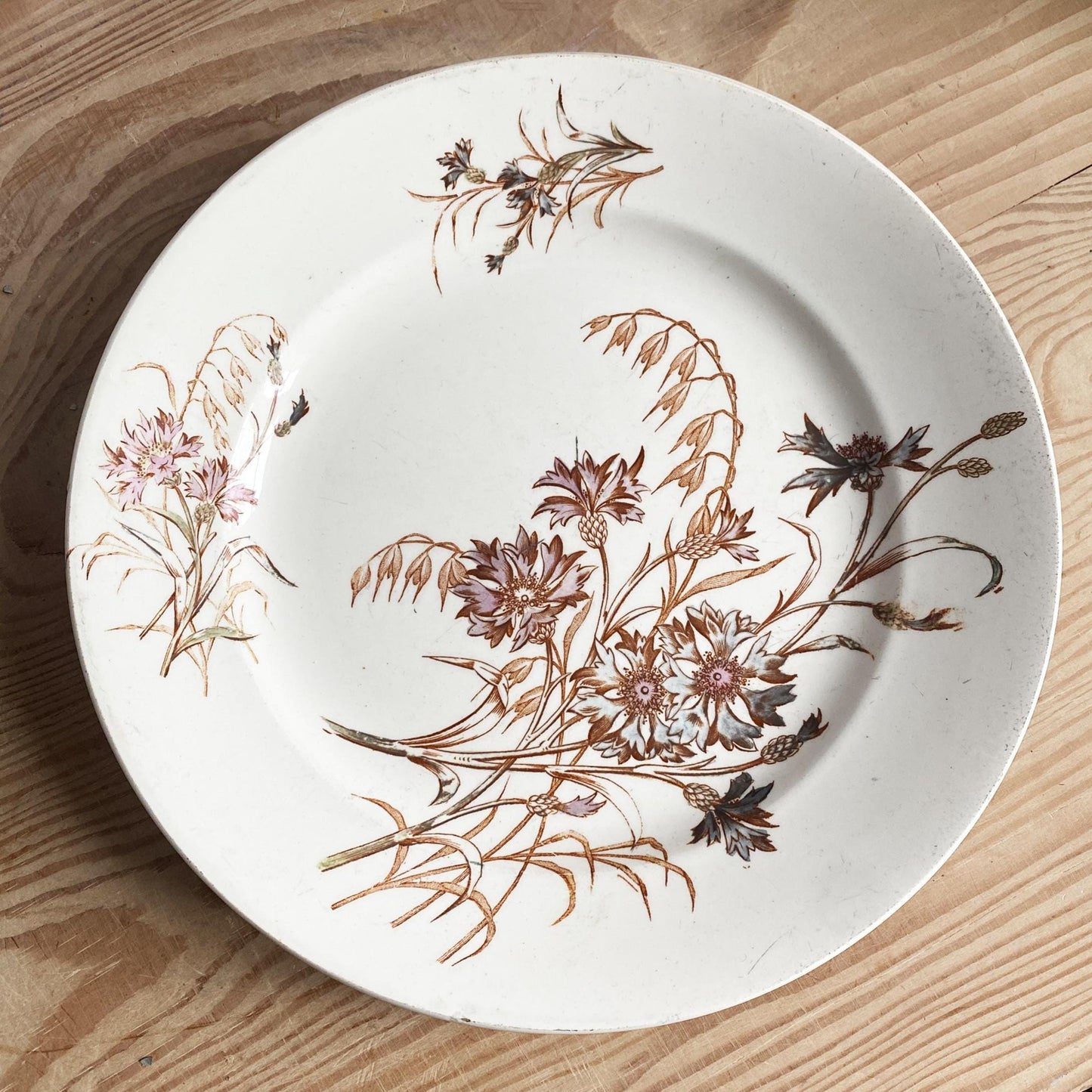 SET of 4 antique French ironstone dinner plates, polychrome floral in brown, green + pink, hand colored, K&G Luneville France
