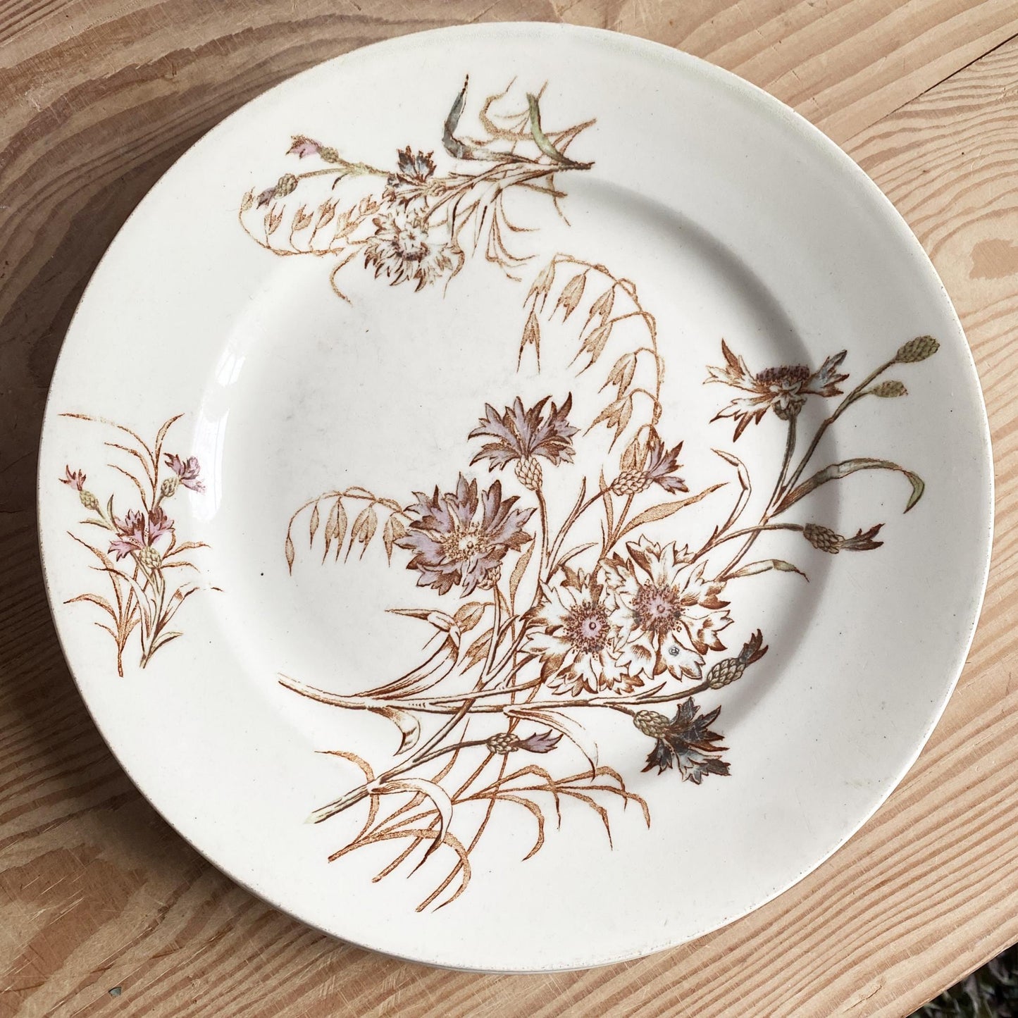 SET of 4 antique French ironstone dinner plates, polychrome floral in brown, green + pink, hand colored, K&G Luneville France