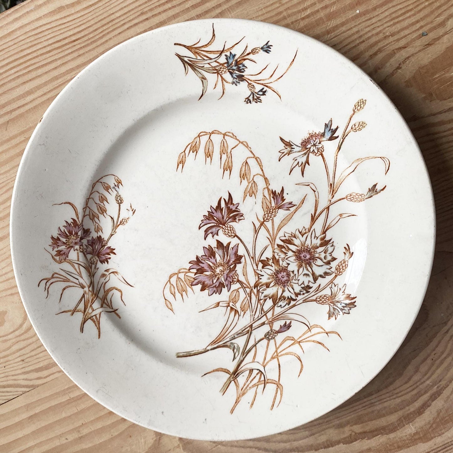 SET of 4 antique French ironstone dinner plates, polychrome floral in brown, green + pink, hand colored, K&G Luneville France