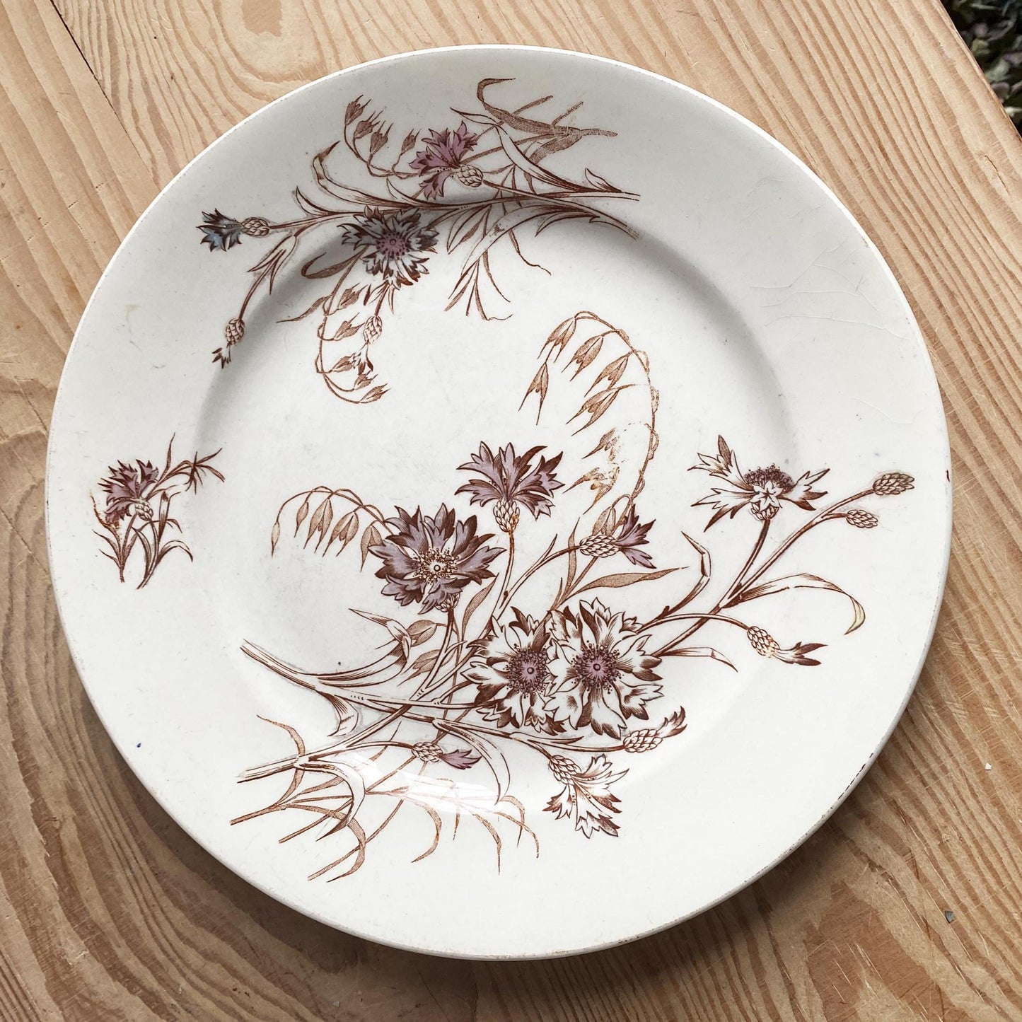 SET of 4 antique French ironstone dinner plates, polychrome floral in brown, green + pink, hand colored, K&G Luneville France
