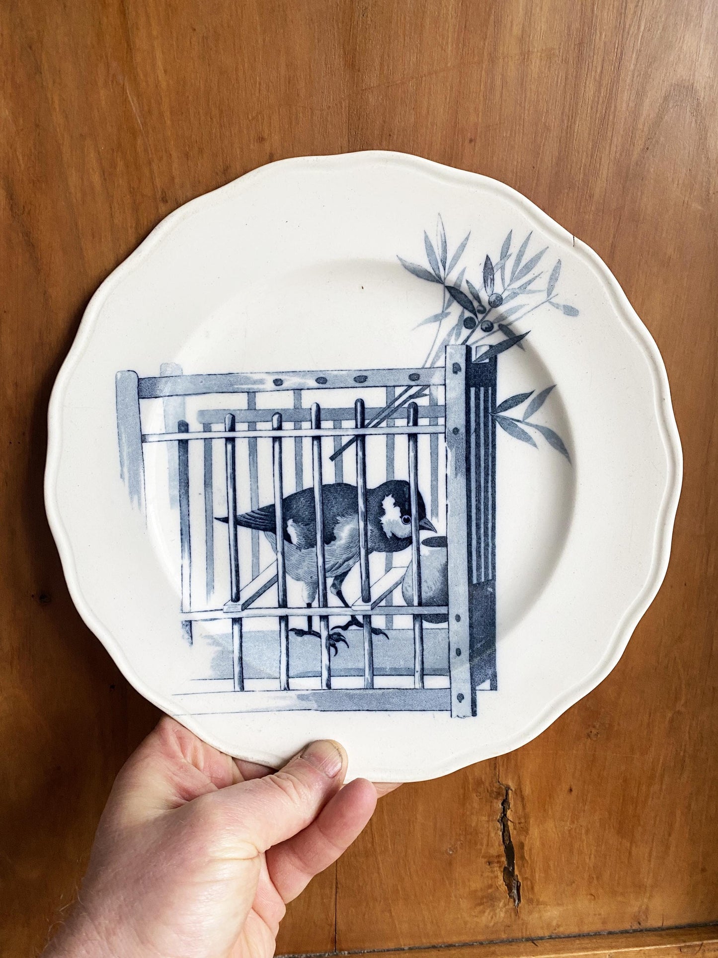 RESERVED Antique Pierre Mallett 'Canova' bird plate blue transferware Staffordshire c1868 BWM&C for E Bourgouis France