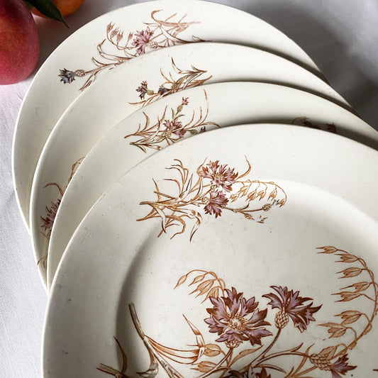 SET of 4 antique French ironstone dinner plates, polychrome floral in brown, green + pink, hand colored, K&G Luneville France