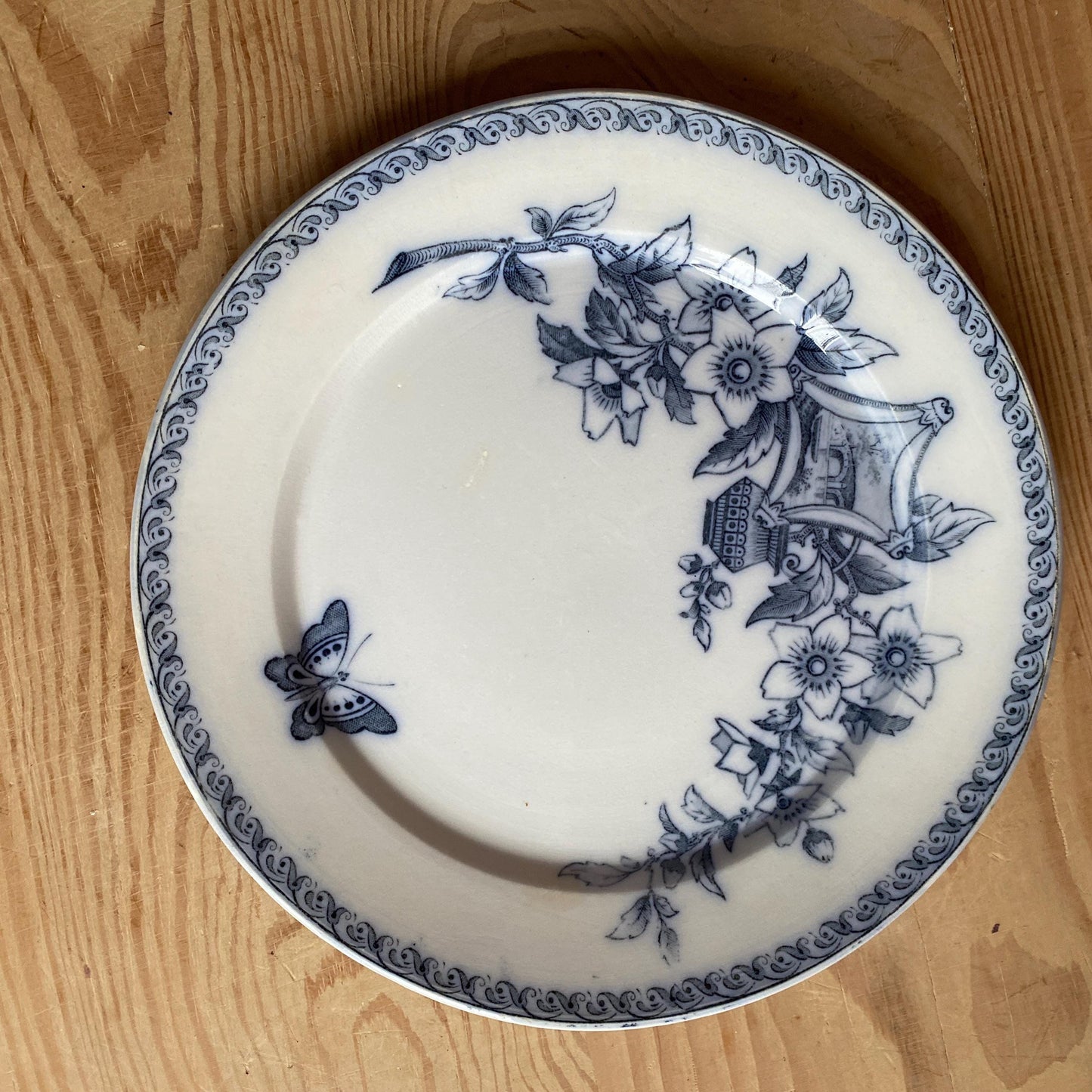 Set of 5 French antique dinner plates, flowers + butterflies, Aesthetic Movement 'Wallace' by U&C Sarreguemines, France 1900