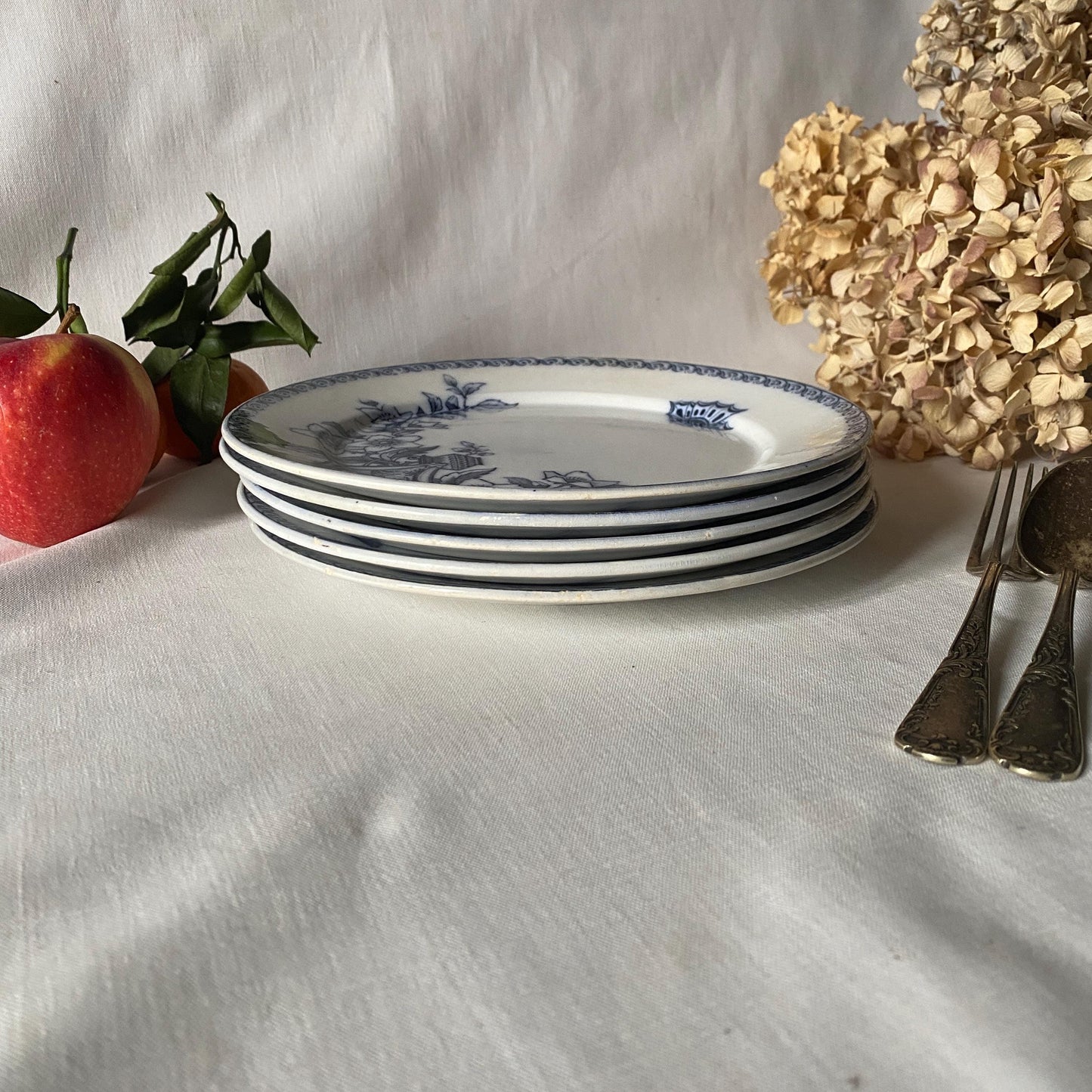 Set of 5 French antique dinner plates, flowers + butterflies, Aesthetic Movement 'Wallace' by U&C Sarreguemines, France 1900