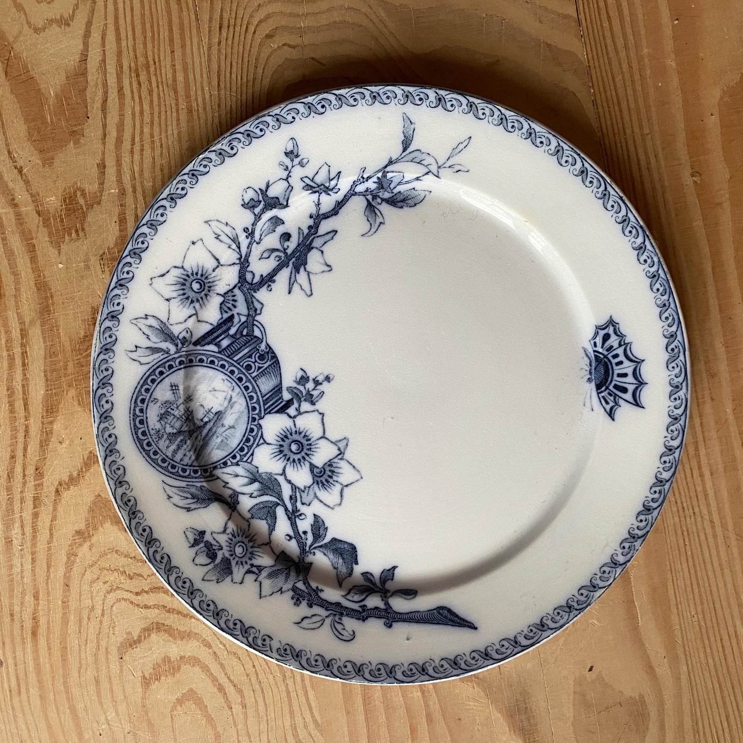 Set of 5 French antique dinner plates, flowers + butterflies, Aesthetic Movement 'Wallace' by U&C Sarreguemines, France 1900