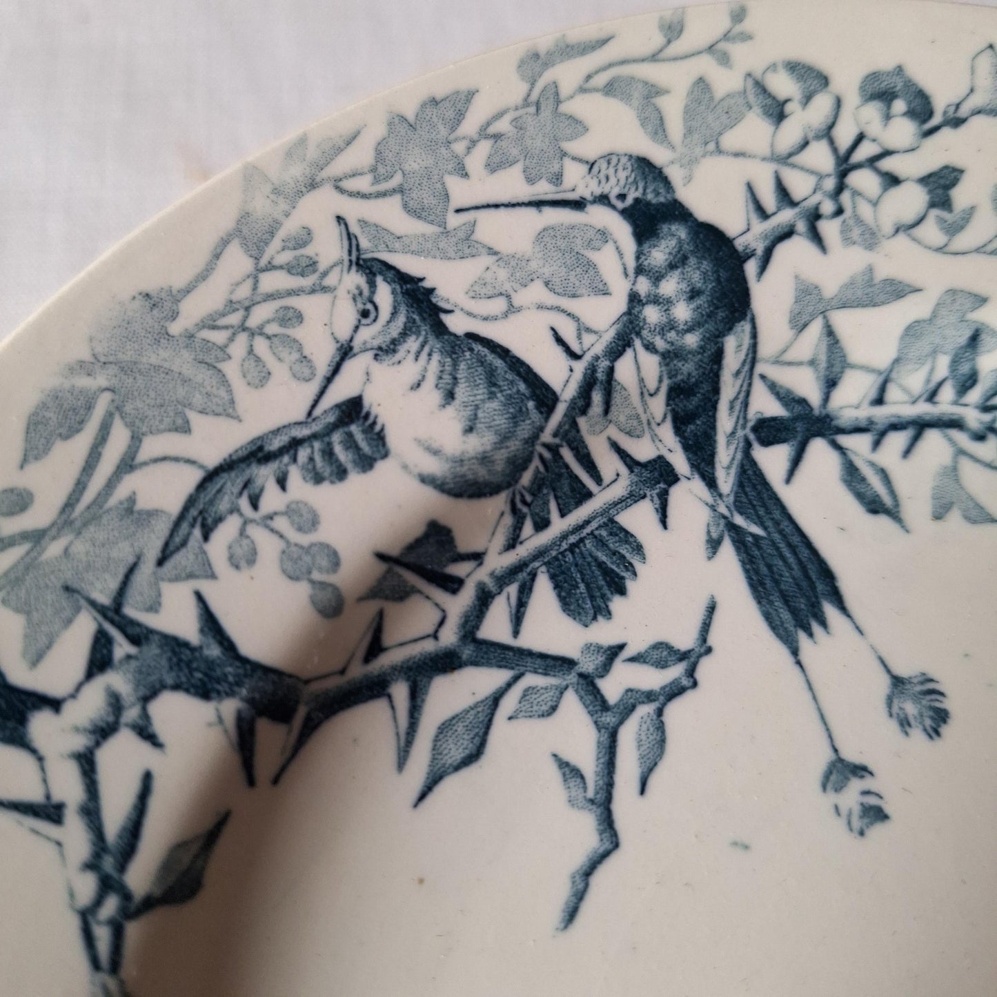 Antique French Blue Transferware Colibri Birds Dessert / Entree Plates (Set of 8), Luneville c1890