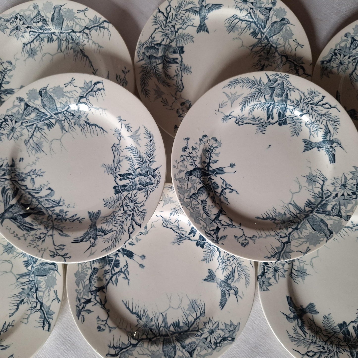 Antique French Blue Transferware Colibri Birds Dessert / Entree Plates (Set of 8), Luneville c1890