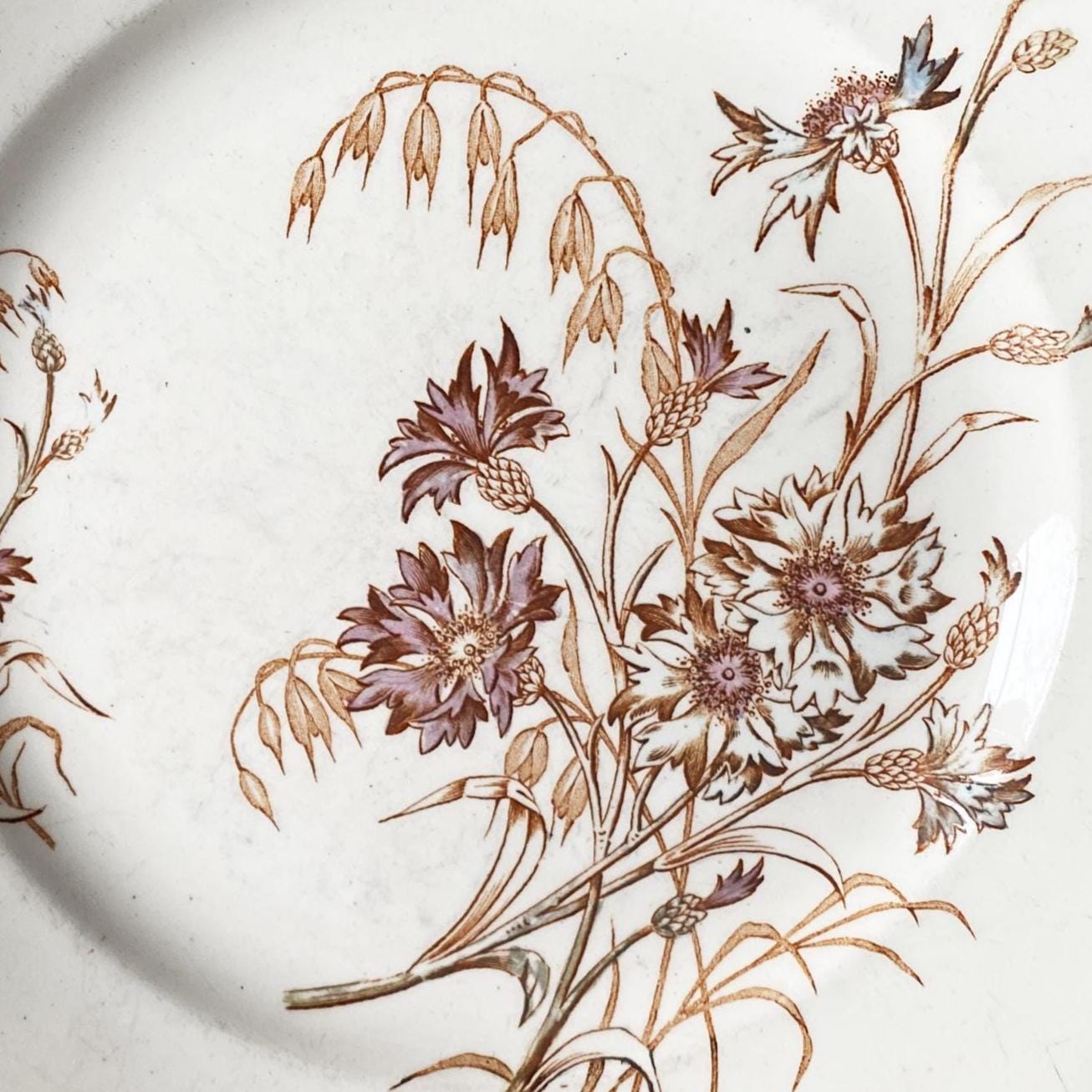 SET of 4 antique French ironstone dinner plates, polychrome floral in brown, green + pink, hand colored, K&G Luneville France