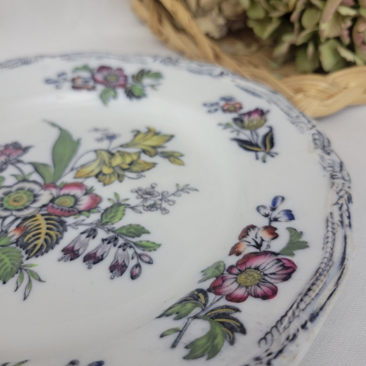 Pair Of English Staffordshire Display Plates Pinder Bourne & Hope, Hyacinth Pattern C1850