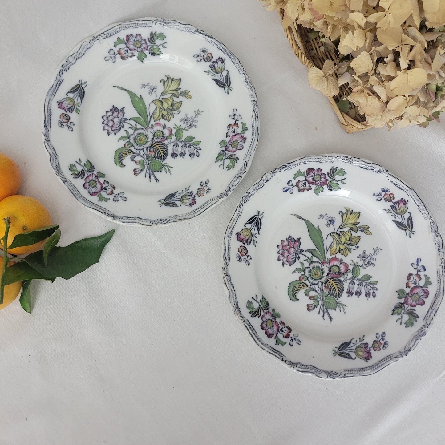 Pair Of English Staffordshire Display Plates Pinder Bourne & Hope, Hyacinth Pattern C1850