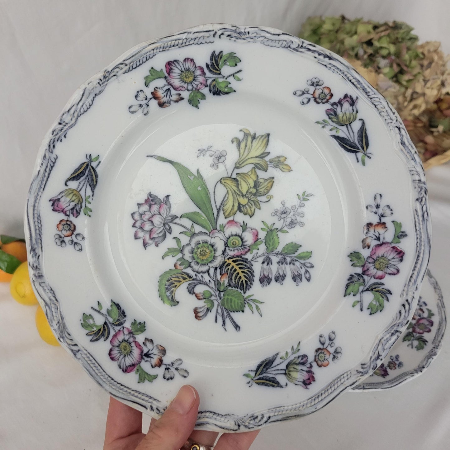 Pair Of English Staffordshire Display Plates Pinder Bourne & Hope, Hyacinth Pattern C1850