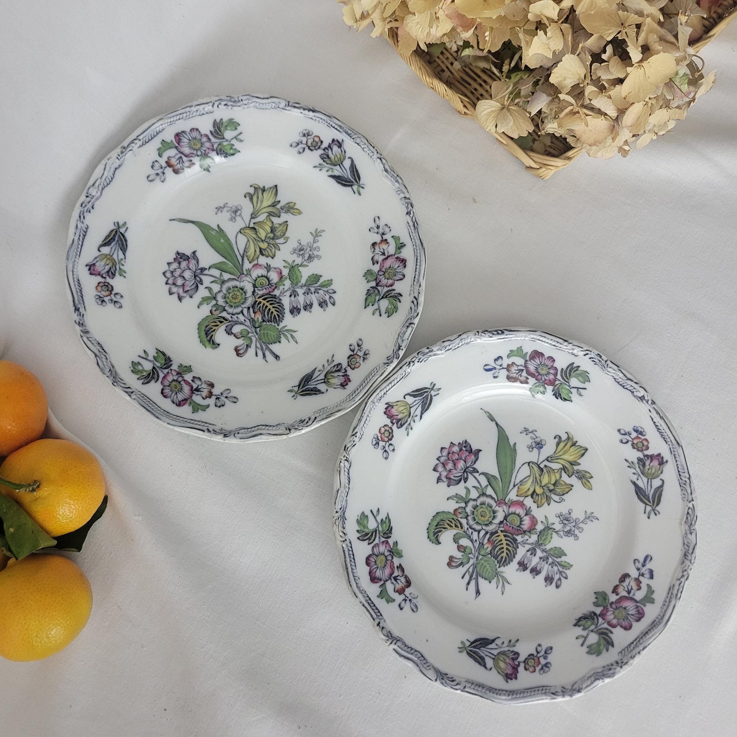 Pair Of English Staffordshire Display Plates Pinder Bourne & Hope, Hyacinth Pattern C1850