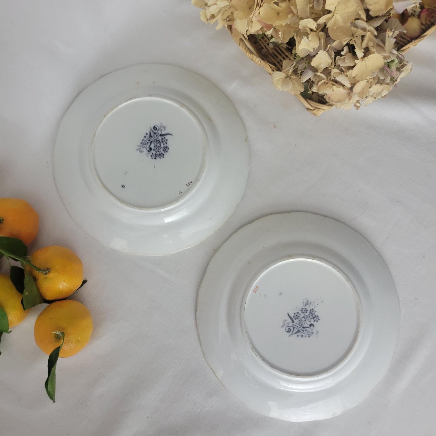 Pair Of English Staffordshire Display Plates Pinder Bourne & Hope, Hyacinth Pattern C1850