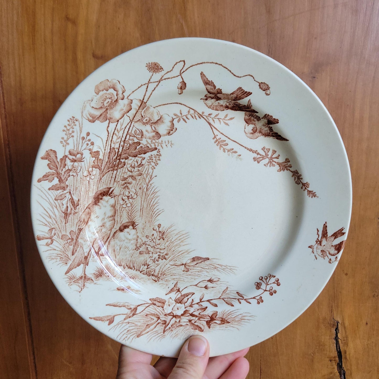 Antique Jules Vieillard Bordeaux Oiseaux plate, brown transferware, c.1880