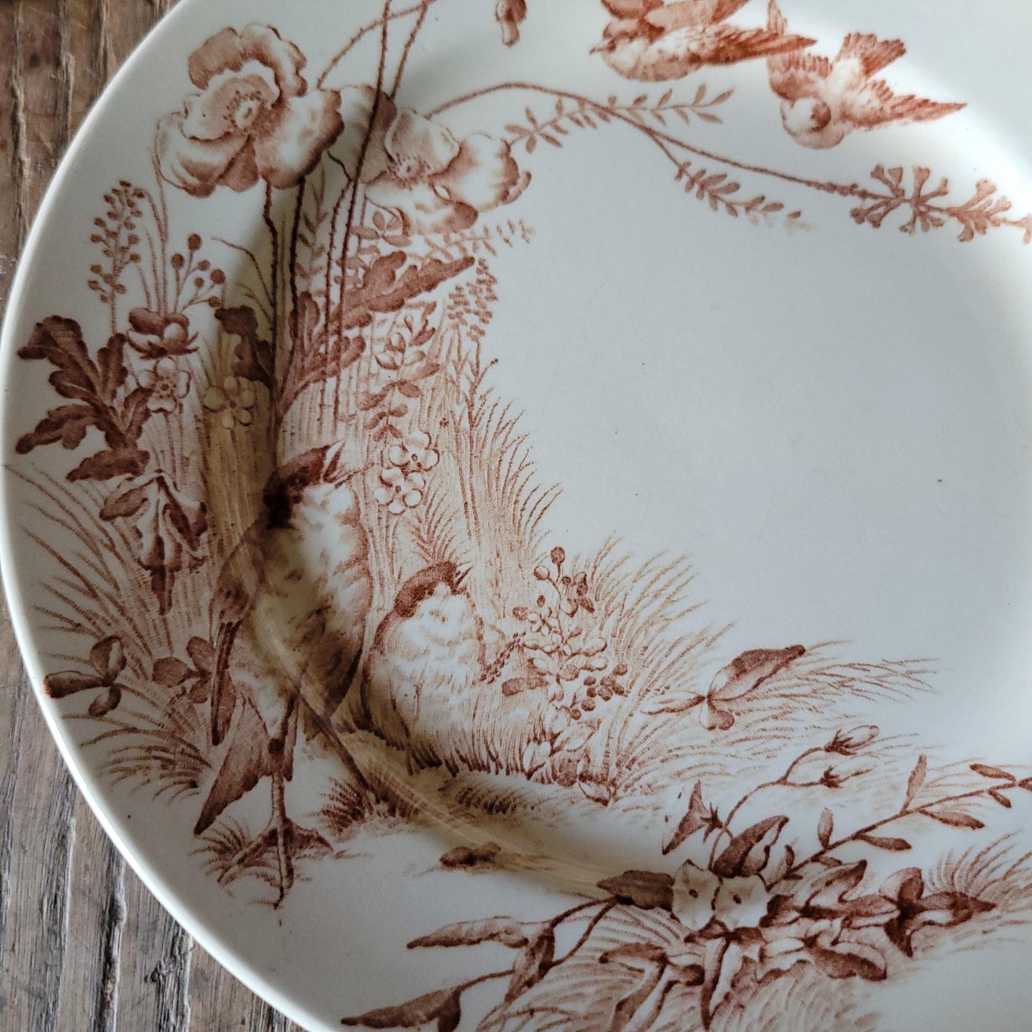 Antique Jules Vieillard Bordeaux Oiseaux plate, brown transferware, c.1880