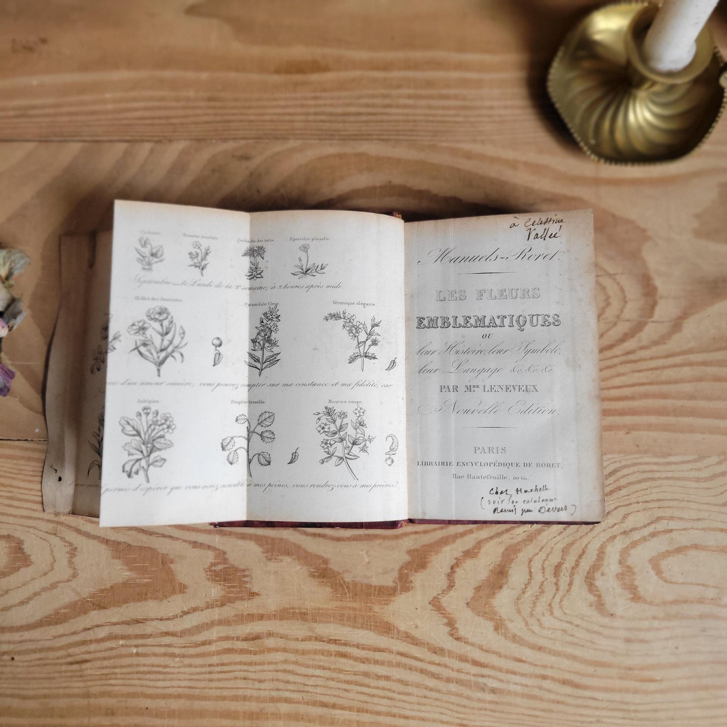 Nouveau Manuel des Fleurs Emblématiques, French Illustrated Book, 19th Century