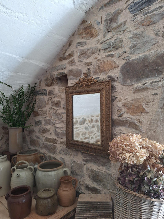 Antique French Rectangular Mirror Ornate Frame Birds Flowers c1900