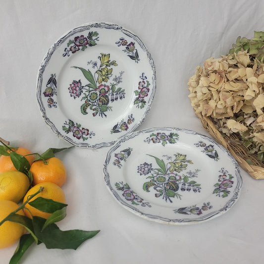 Pair Of English Staffordshire Display Plates Pinder Bourne & Hope, Hyacinth Pattern C1850