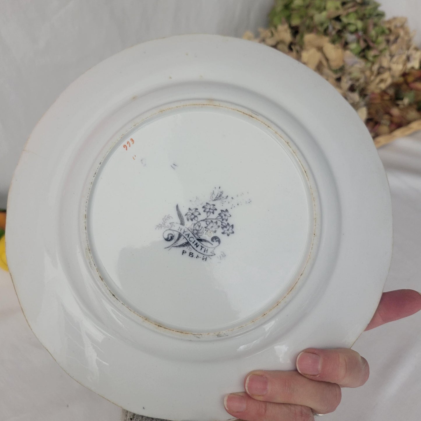Pair Of English Staffordshire Display Plates Pinder Bourne & Hope, Hyacinth Pattern C1850